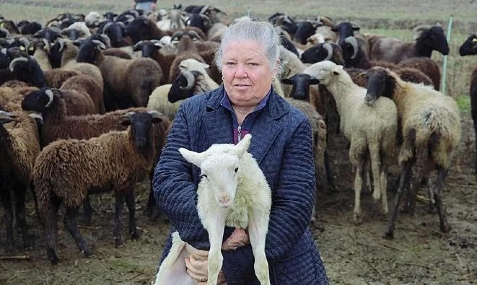 La bellissima storia di Rosalia, pastora da cinquant&rsquo;anni