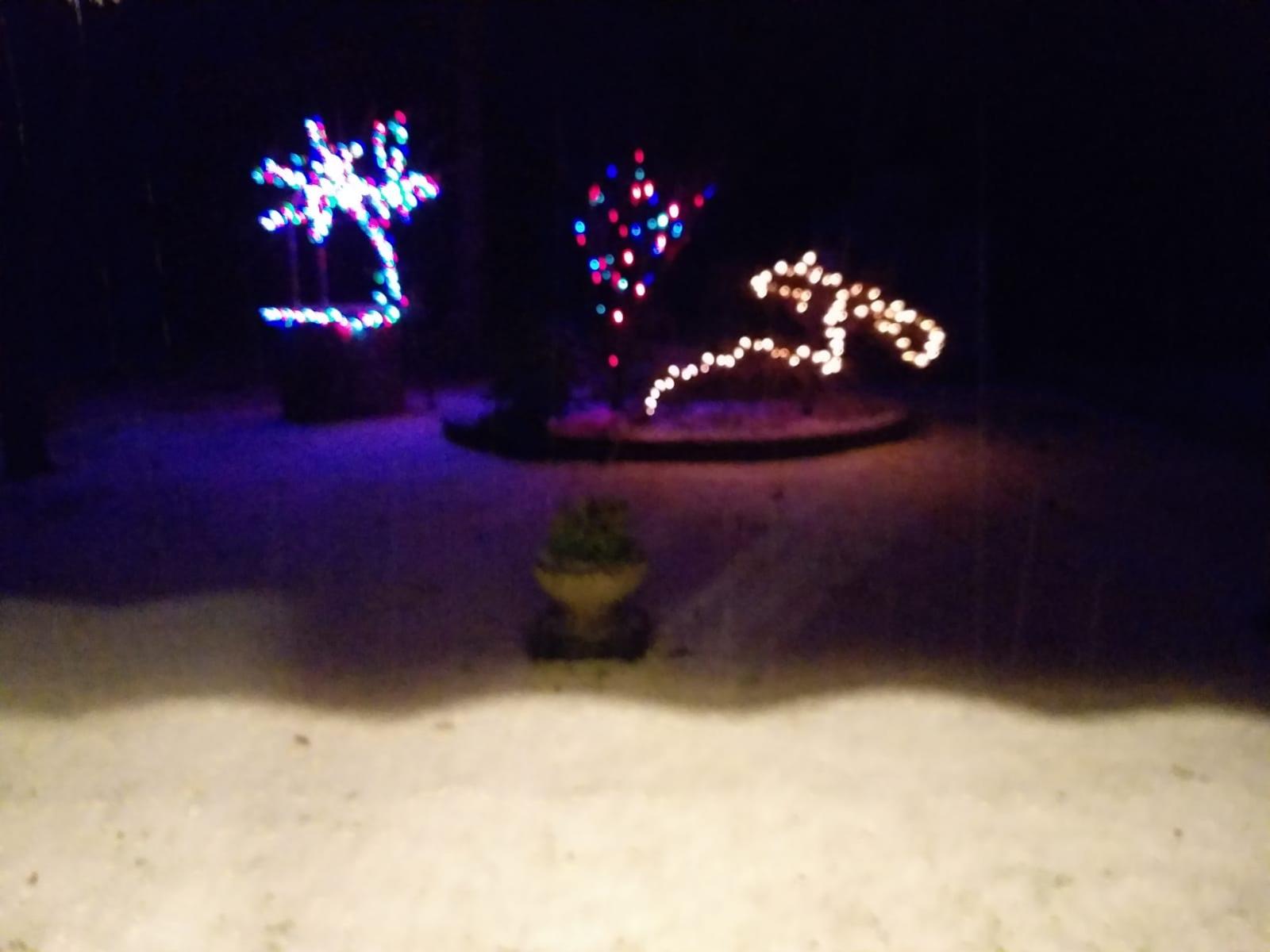 "Graupel" anche ad Ariano nel Polesine