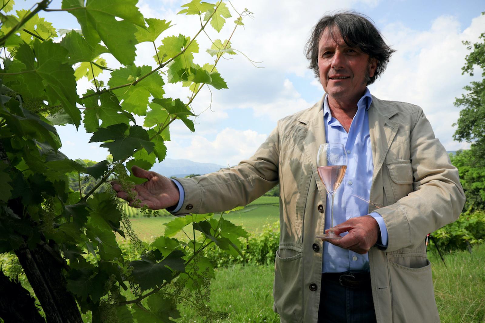 Superate le 500 milioni di bottiglie di Prosecco DOC certificate nell&rsquo;arco di un anno