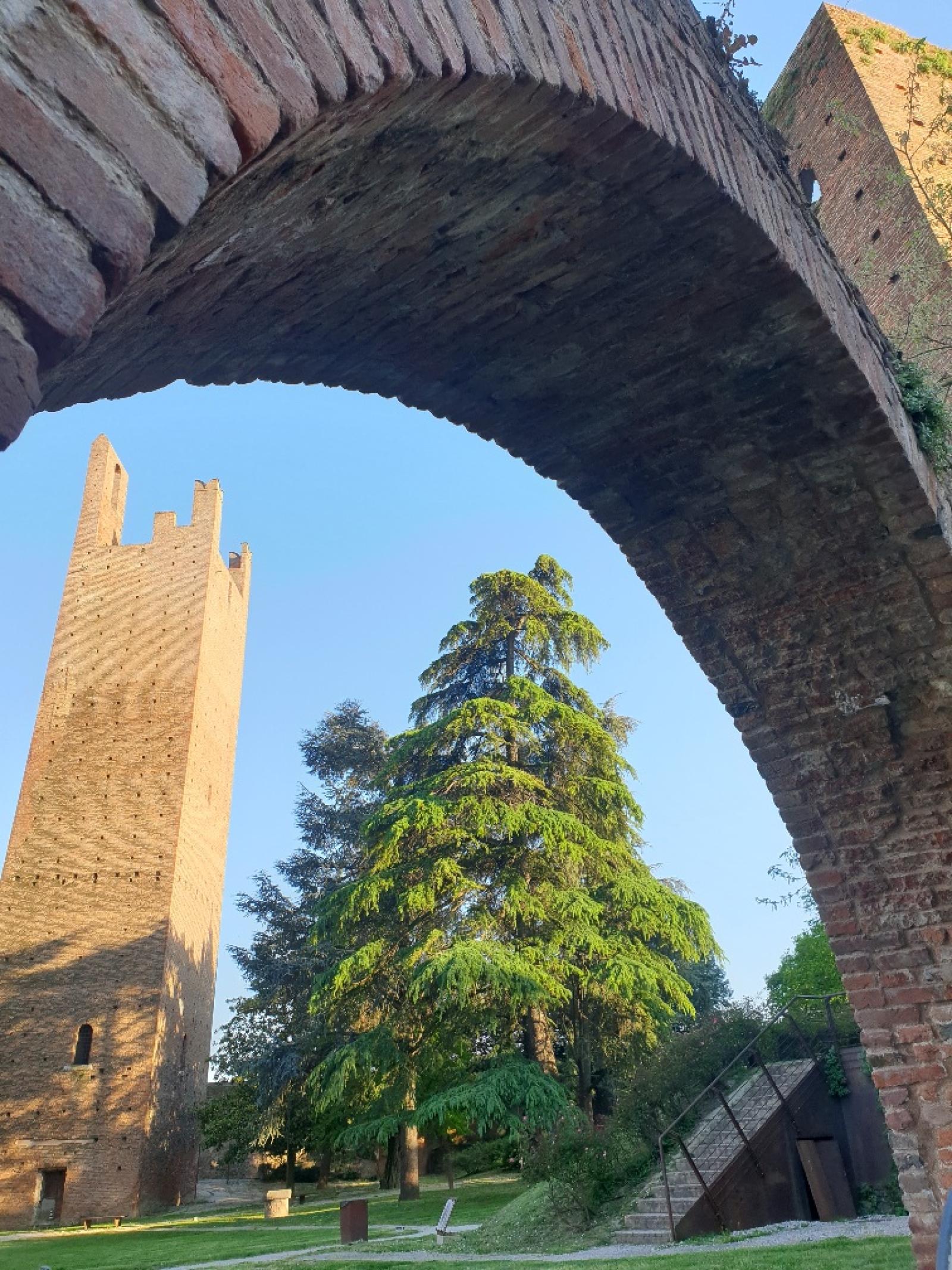 Rovigo diventa pi&ugrave; luminosa: nuovi punti luce nei giardini delle Due Torri e non solo...