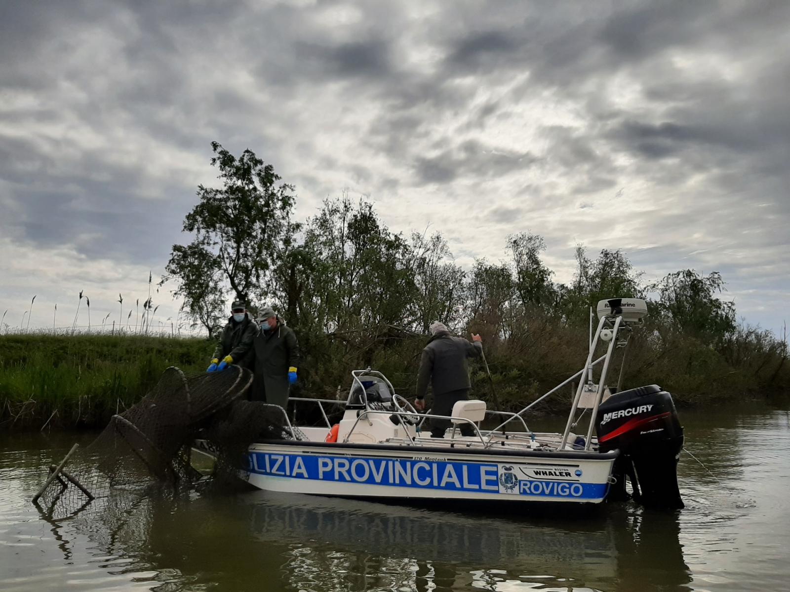 "I fenomeni di bracconaggio vanno stroncati sul nascere"