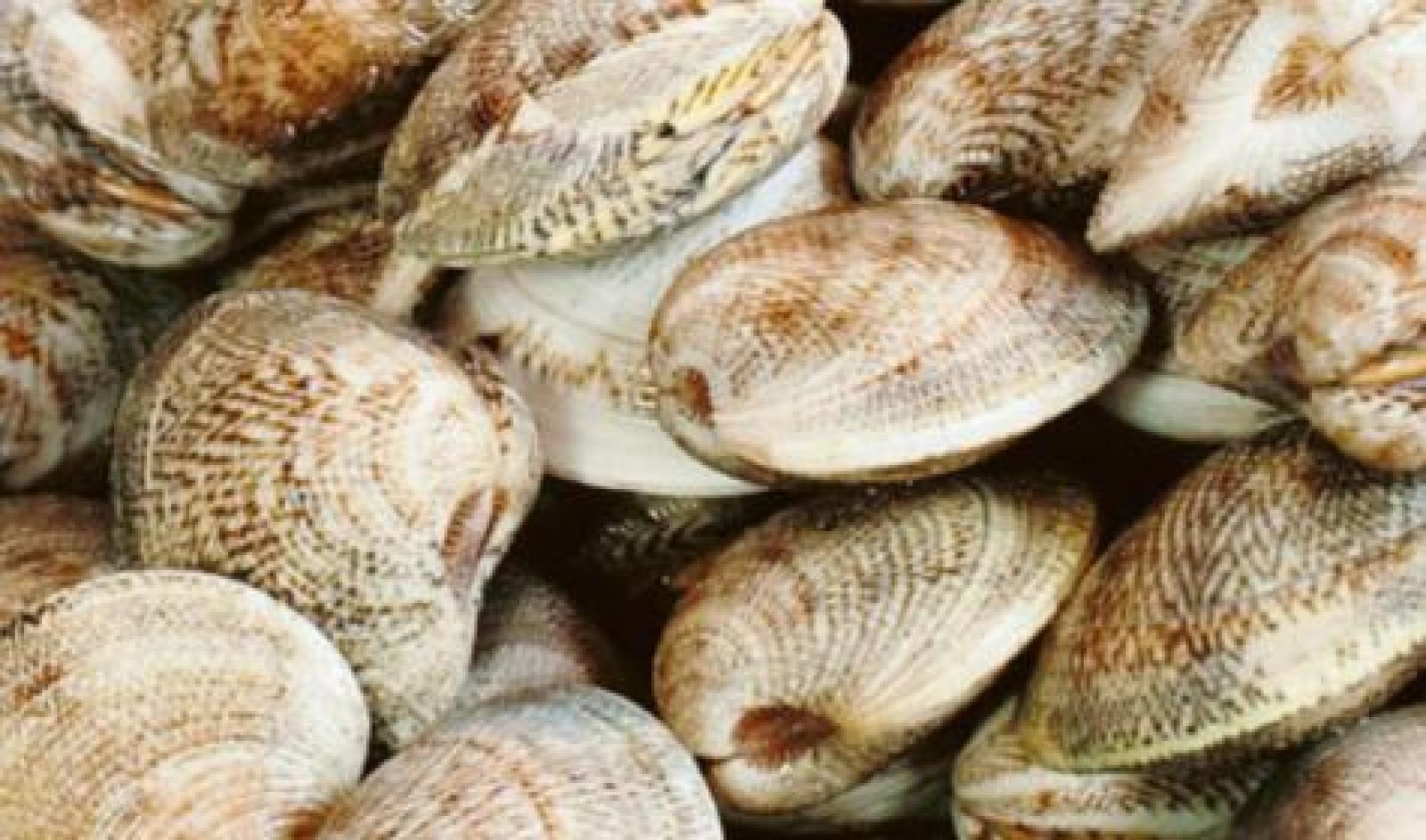 Un altro splendido risultato