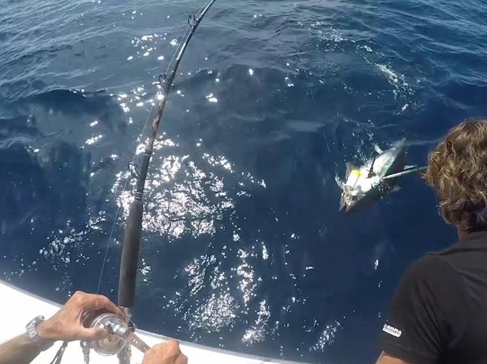 Campionato europeo di pesca al tonno 