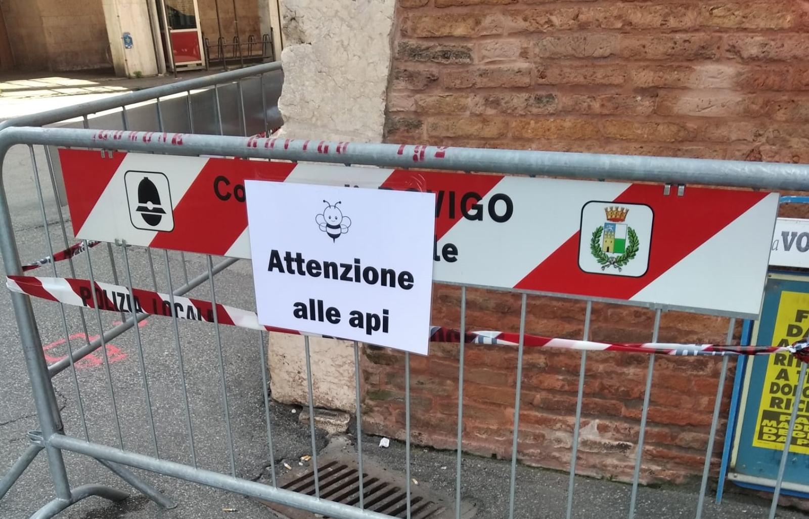 Le transenne in piazza Duomo