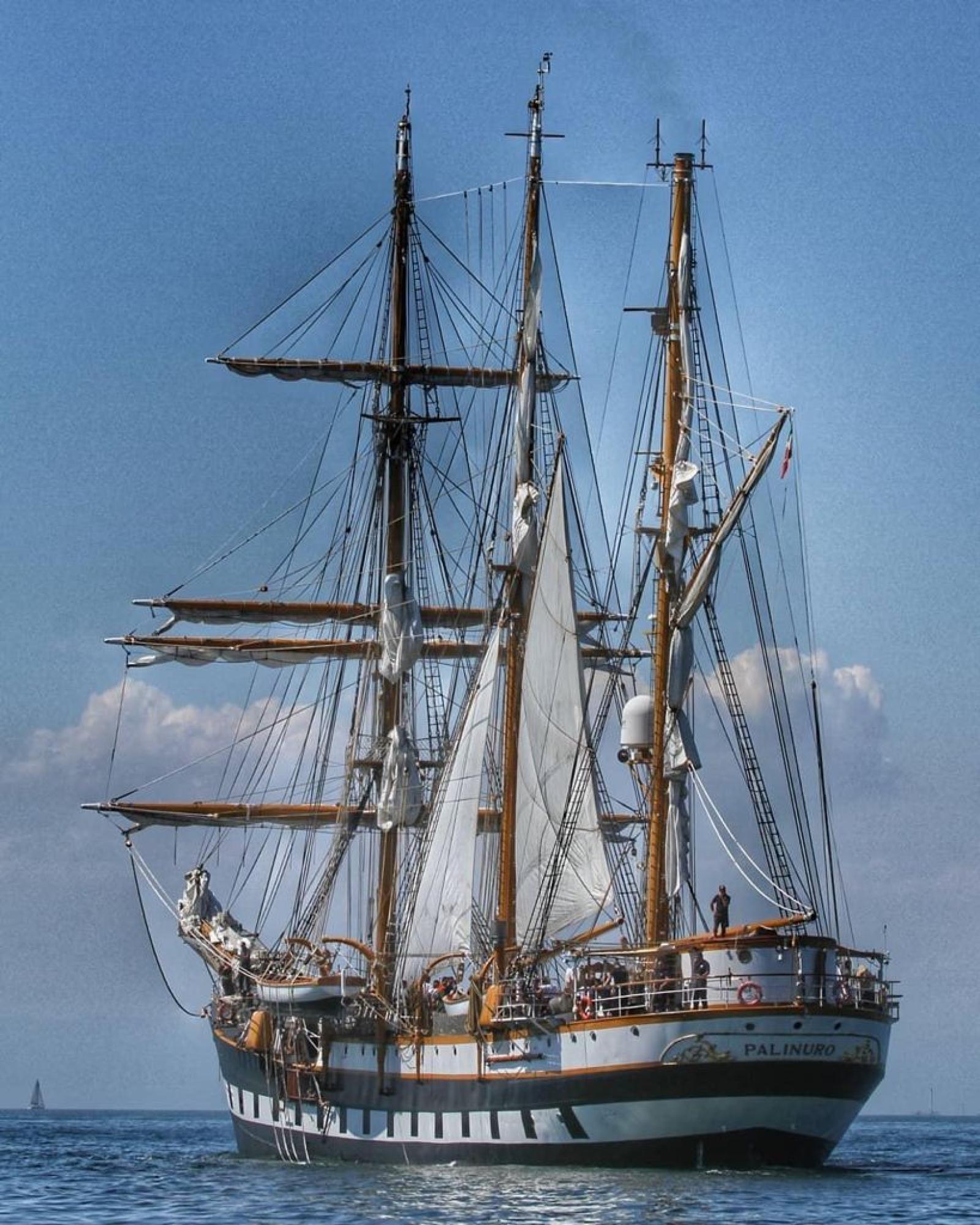 Meraviglia dei mari, al porto di Chioggia