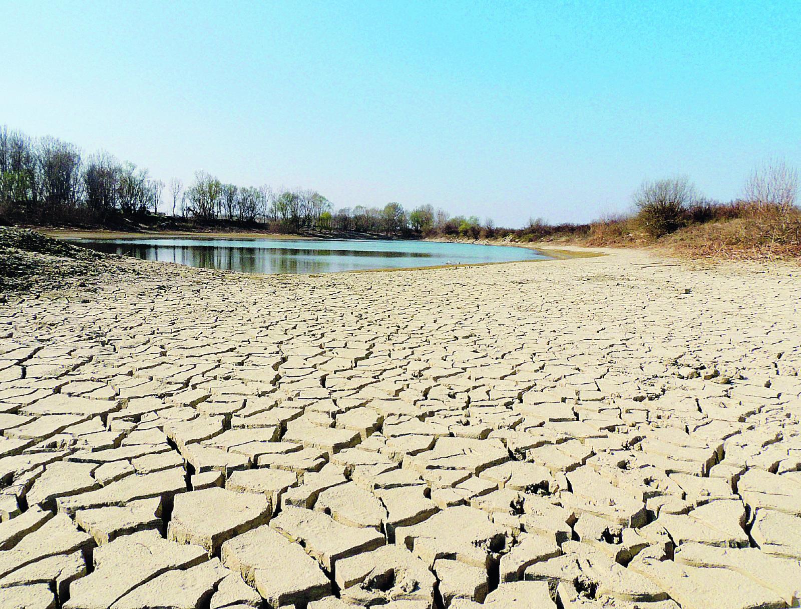 Un Po "salato", Coldiretti: "Risaie a secco"