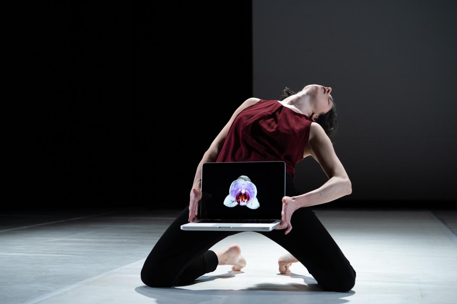 La doppia composizione di Giselda Ranieri