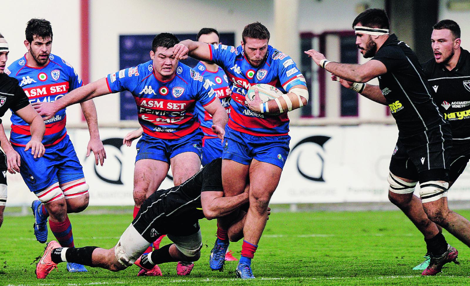 Leccioli azzurro in Sudafrica