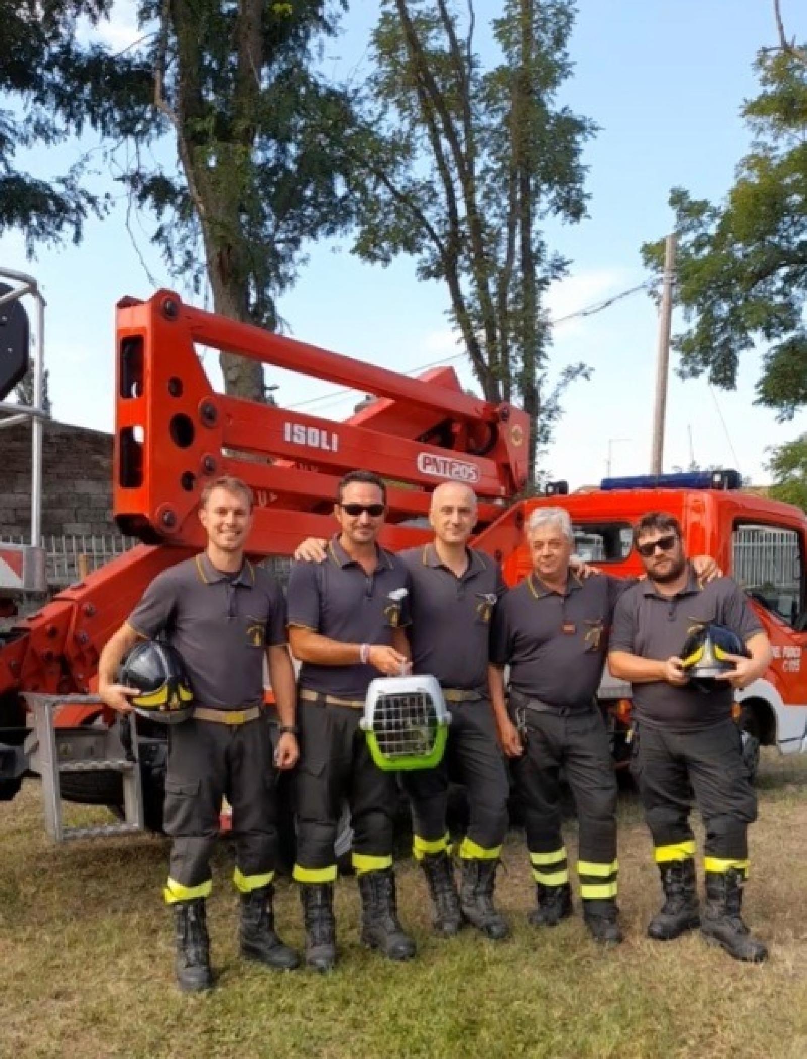Intrappolato nel recinto dei cani, gatto salvato dai pompieri
