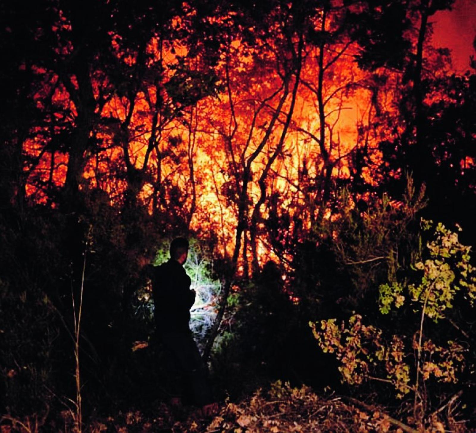 Incendi, qui il rischio &egrave; basso