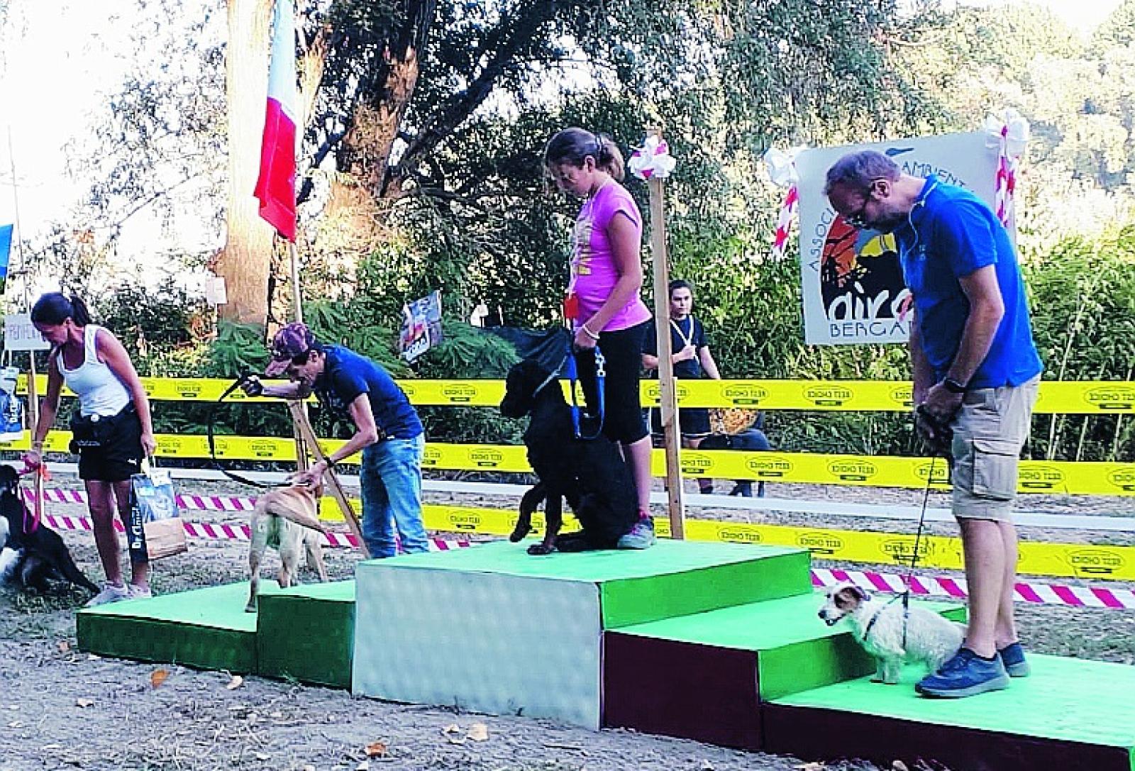 Tour in golena a tante zampe