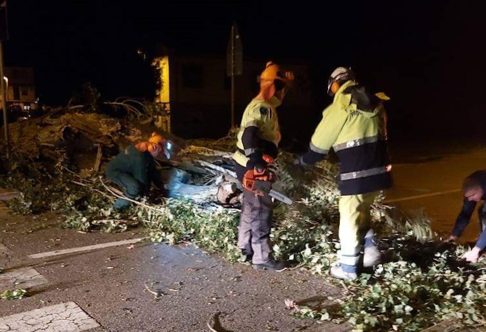 Vento forte, cadono alberi e pali nel Delta