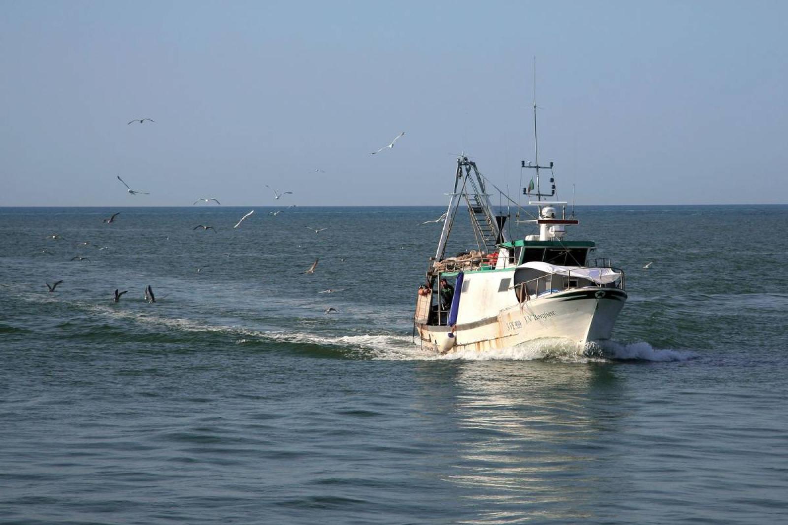Pesca in acque croate, sequestrato peschereccio