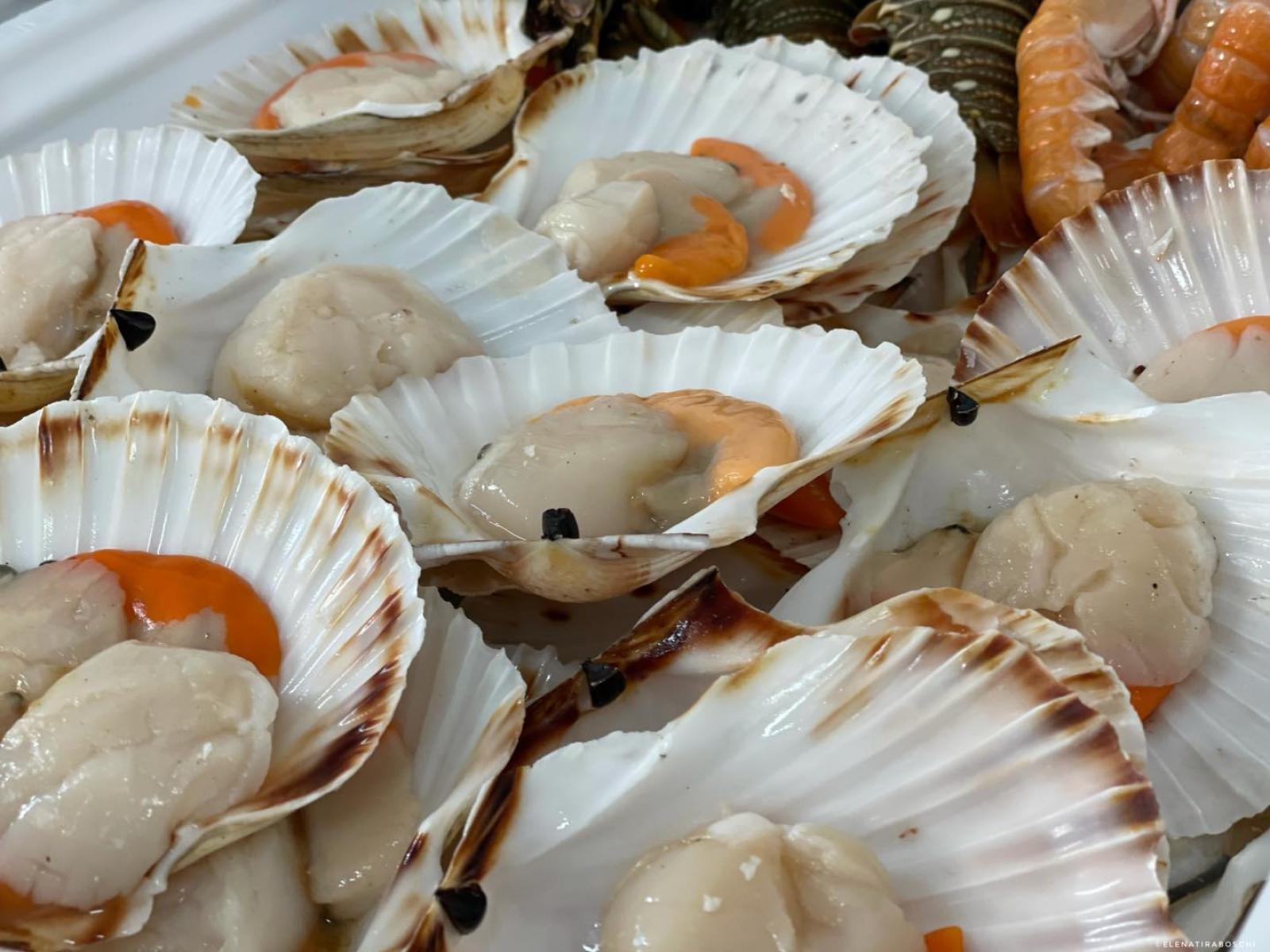 I Fasolari protagonisti in televisione