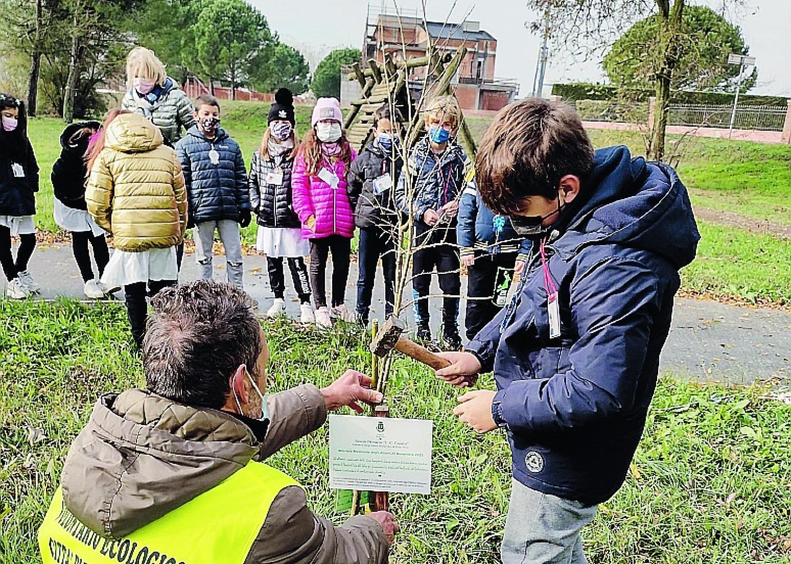 Gli alunni piantano nuovi alberi