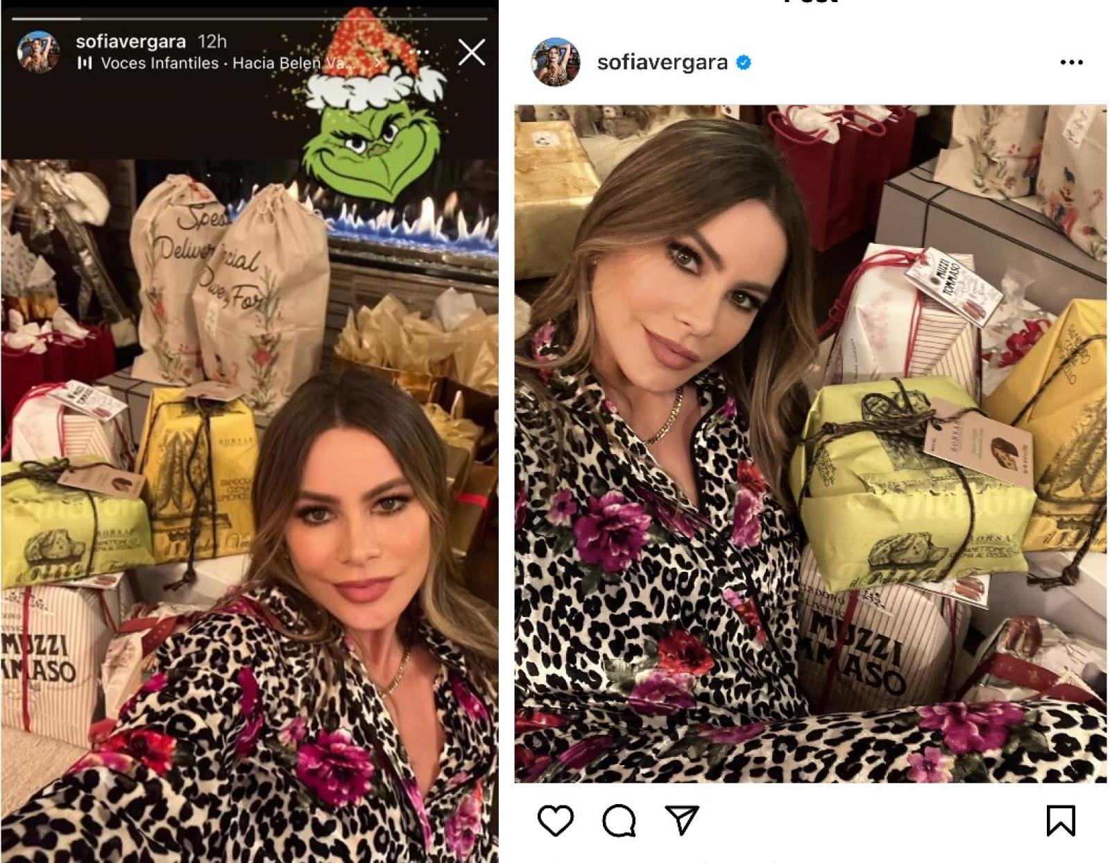 Sofia Vergara coi panettoni di Borsari