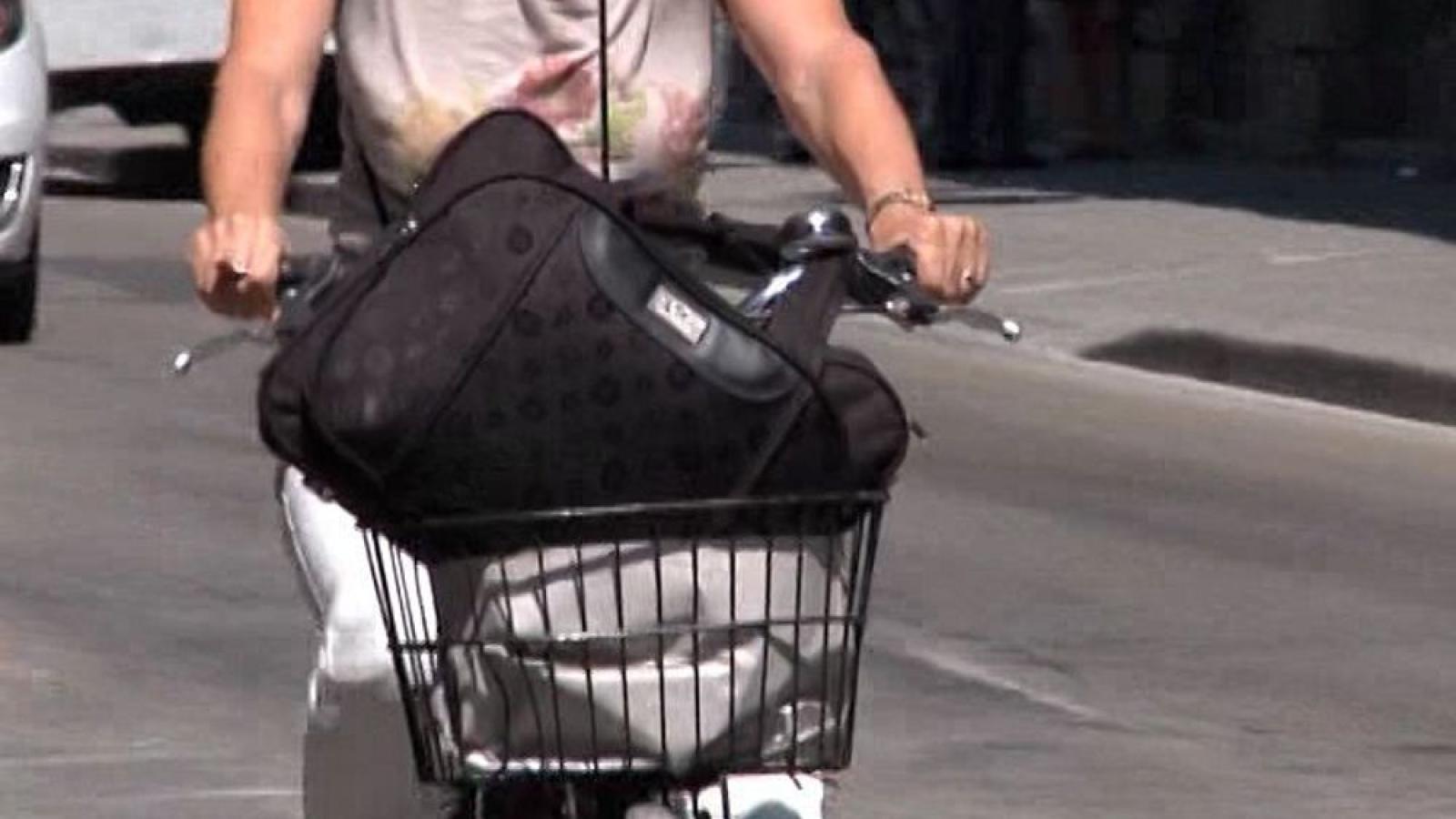 Ruba la borsa dal cestino della bici e scappa  