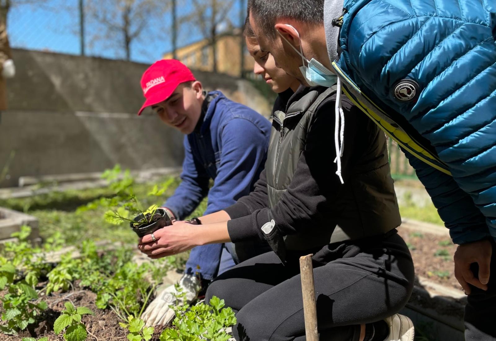 La Citt&agrave; delle rose e degli orti