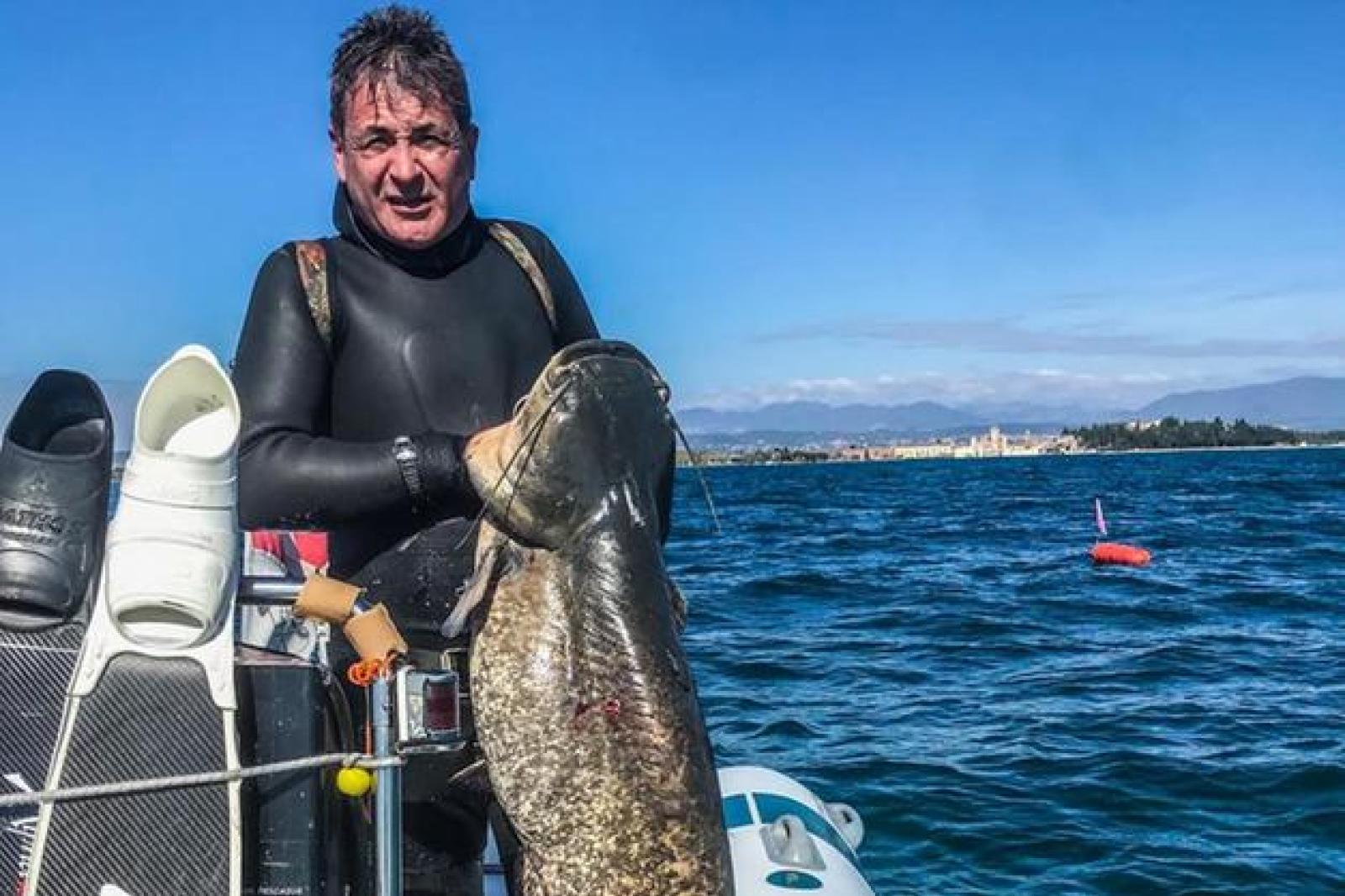 Il pesce siluro ha invaso il lago di Garda