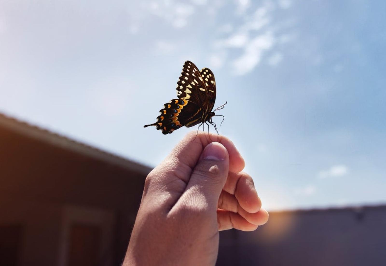 I bruchi in scooter elettrico passeranno per Adria