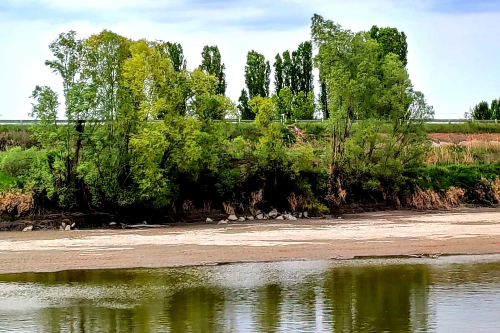 Siccit&agrave;: "Adige dimezzato, mai e soia a rischio"