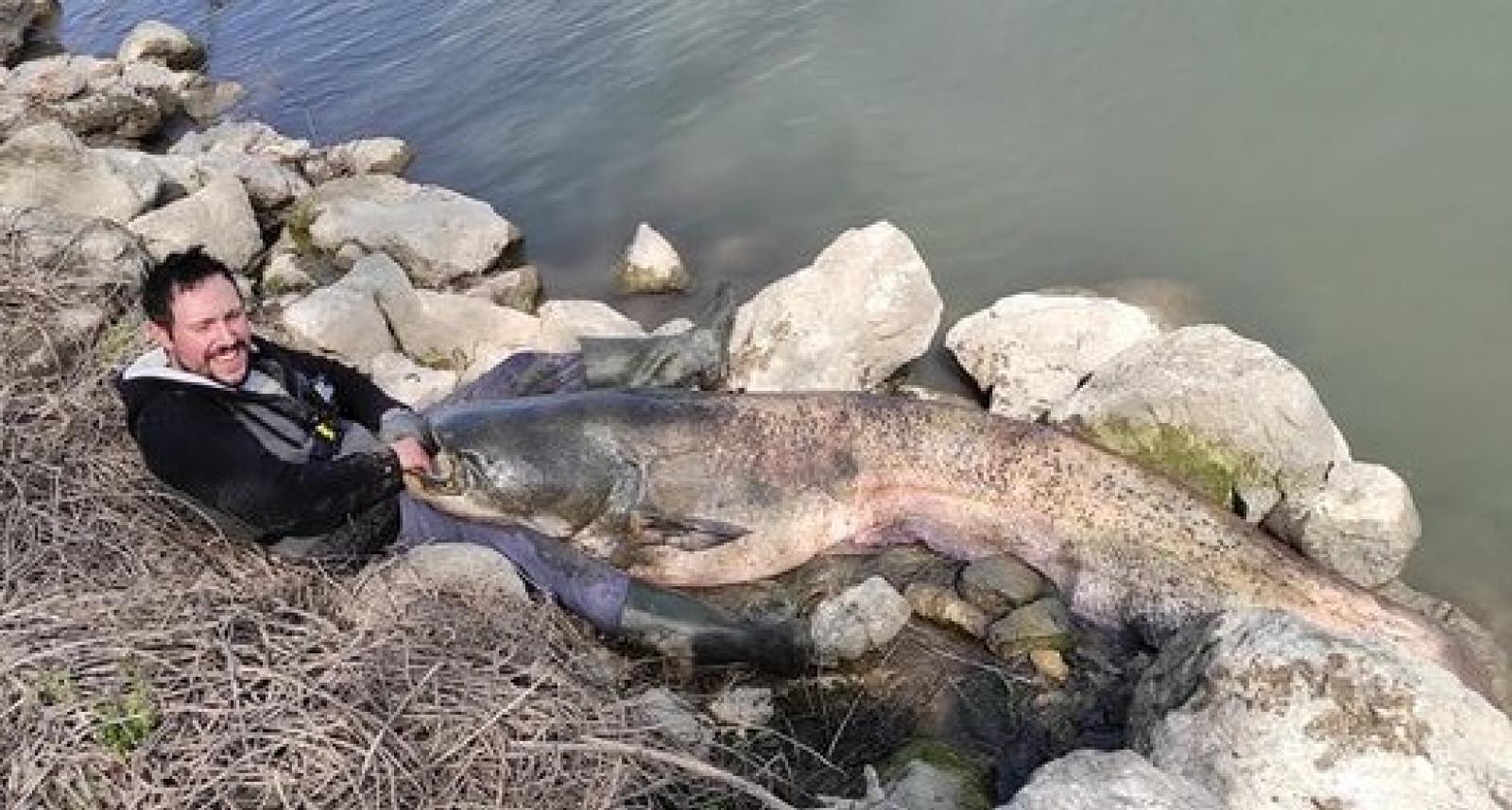 Ha pescato un "River Monster"