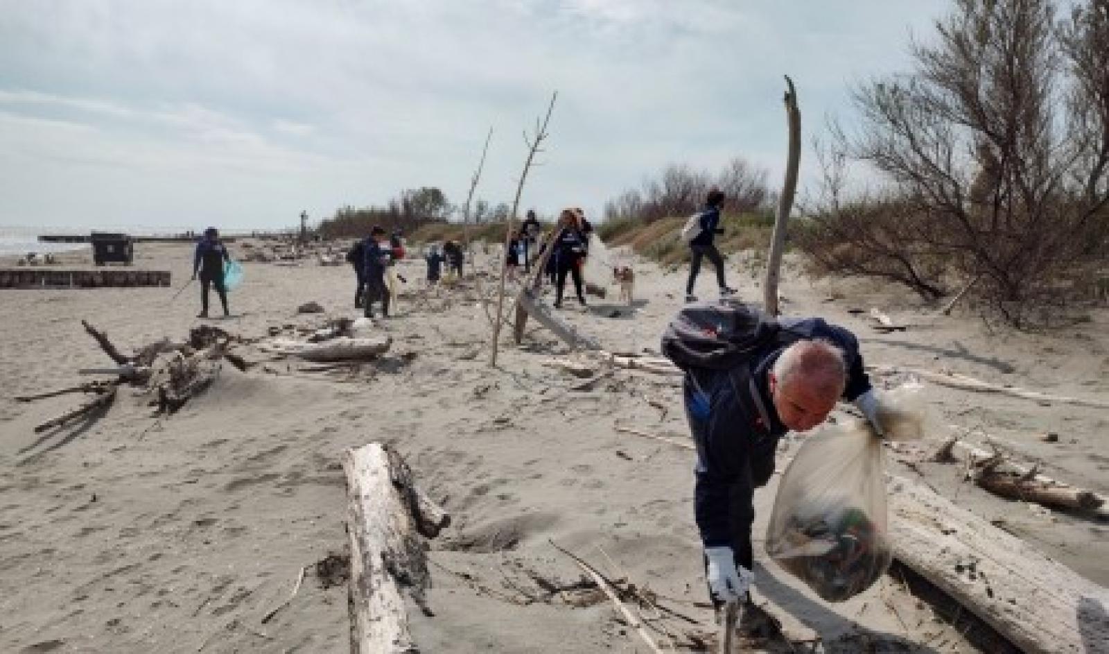 Orrore: delfino "al guinzaglio" trovato morto sulla spiaggia