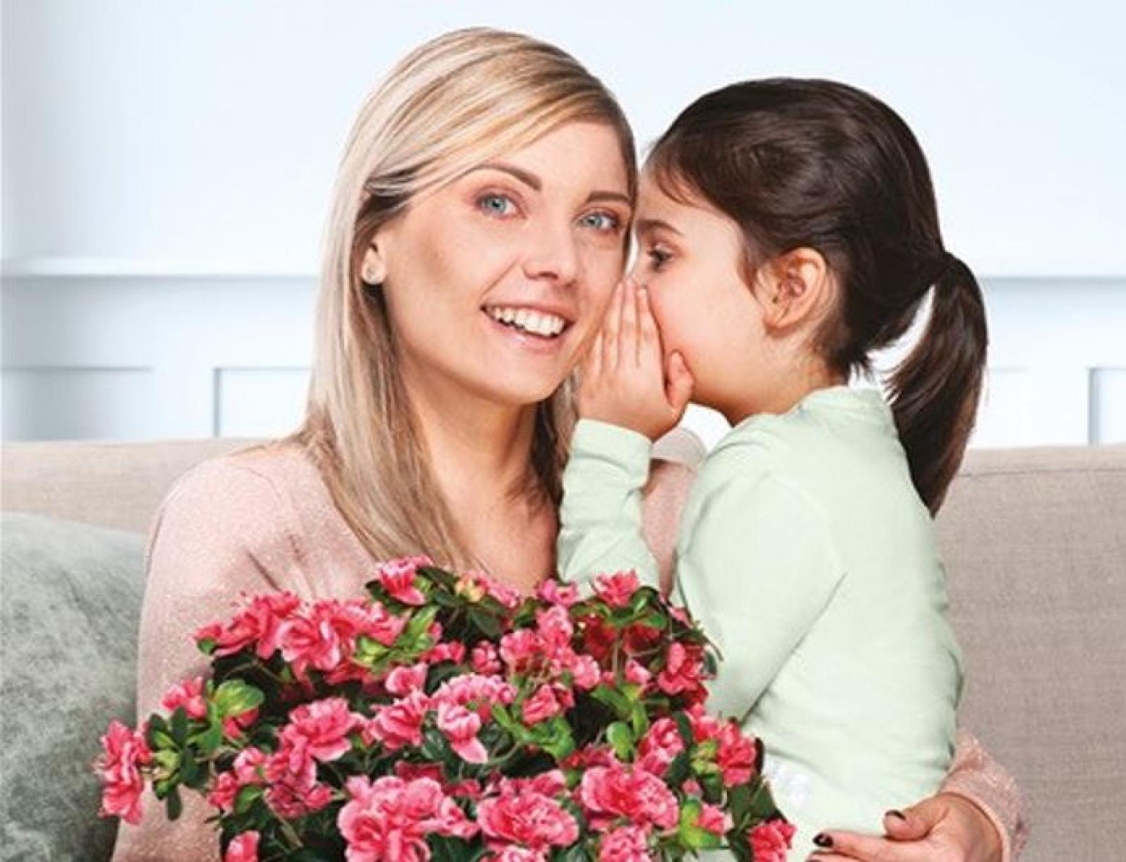 L'azalea fiorisce per la salute delle donne 