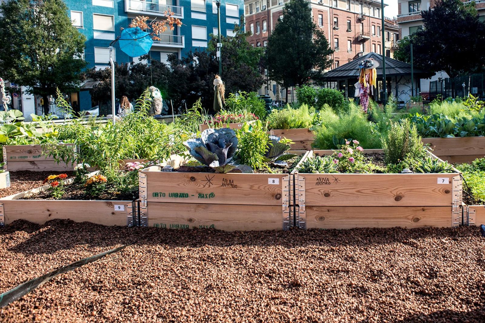 Un orto urbano per l'Innovation lab 