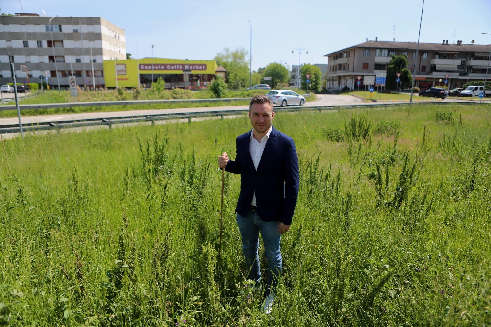 Bosco urbano, il Comune: "La cura degli alberi spettava ad altri". Lega: "Inammissibile" 