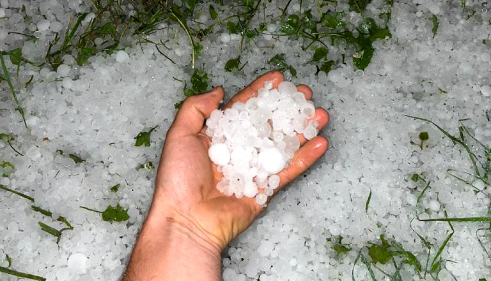La grande gigante ha distrutto interi campi