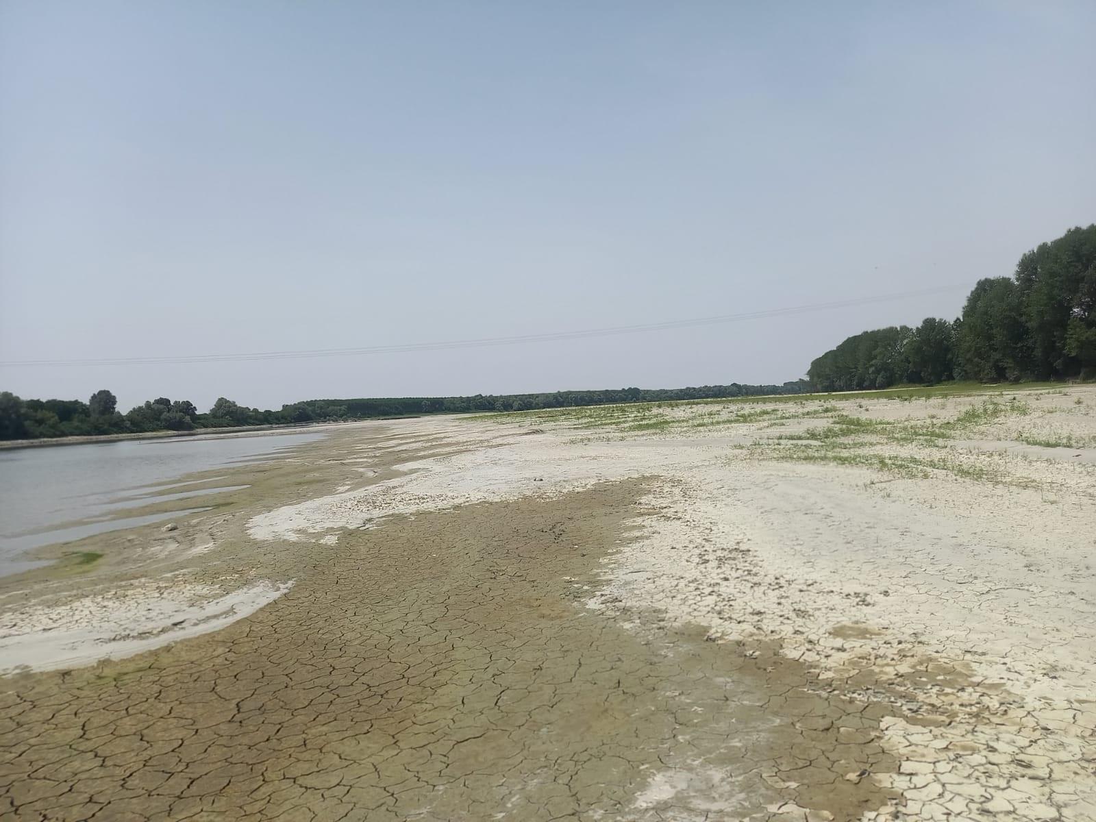 "Le aziende non posso resistere a lungo"