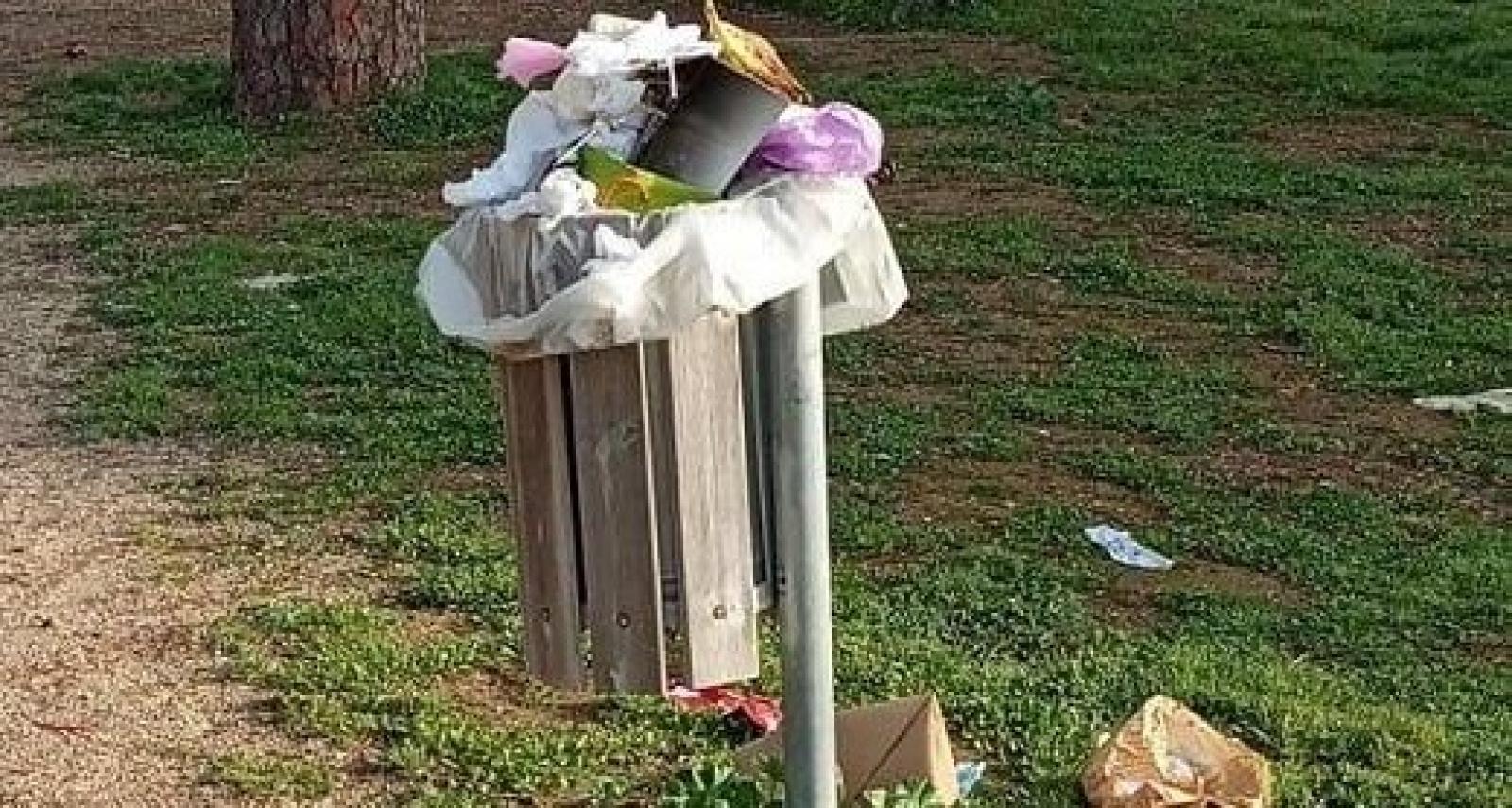 Cestini anche per i nostri amici