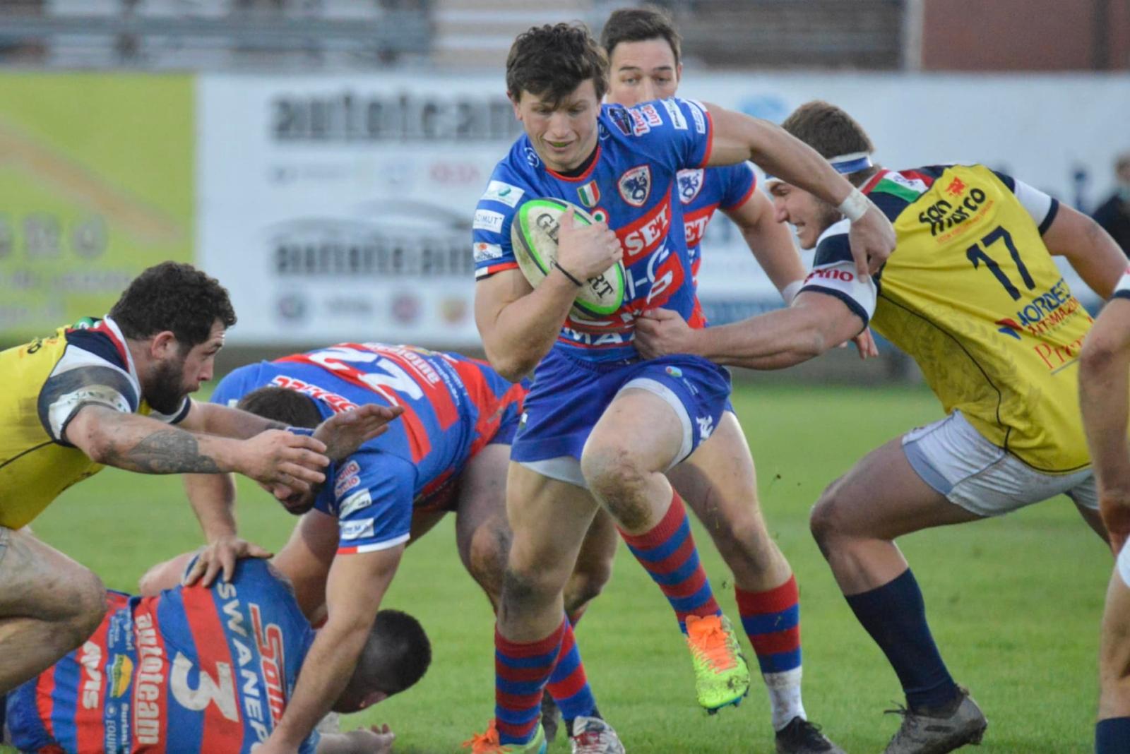 Una Zebra a strisce rossobl&ugrave; 