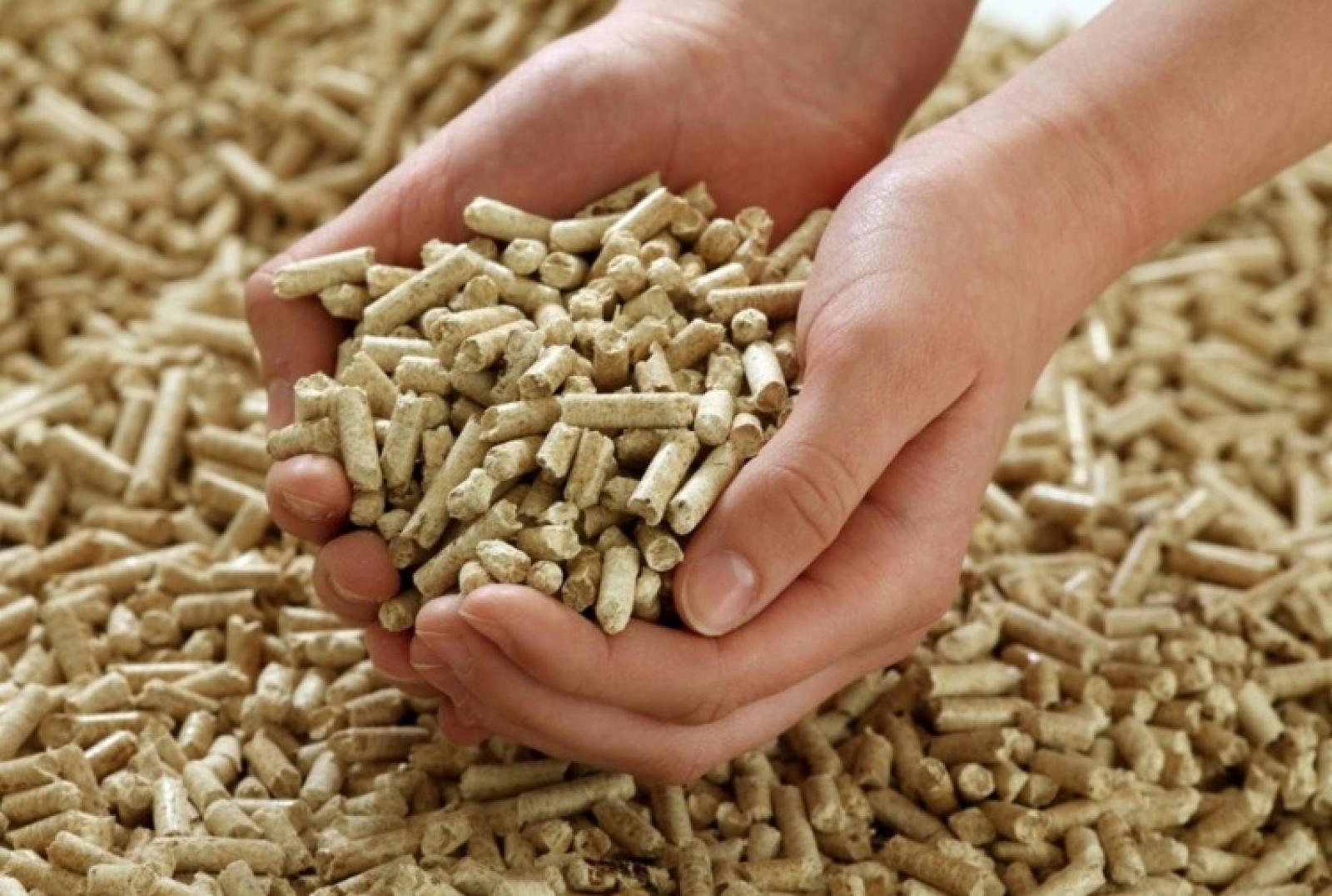 Il caro energia scatena la mega truffa del pellett