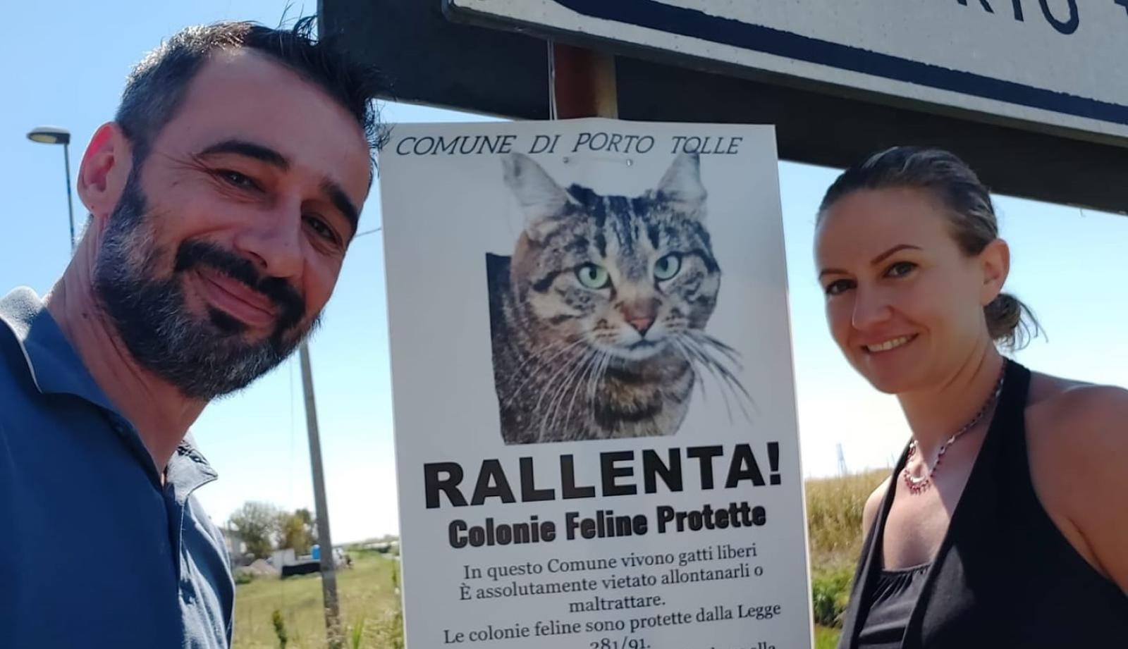 &ldquo;Rallenta, attenti al... gatto&rdquo;