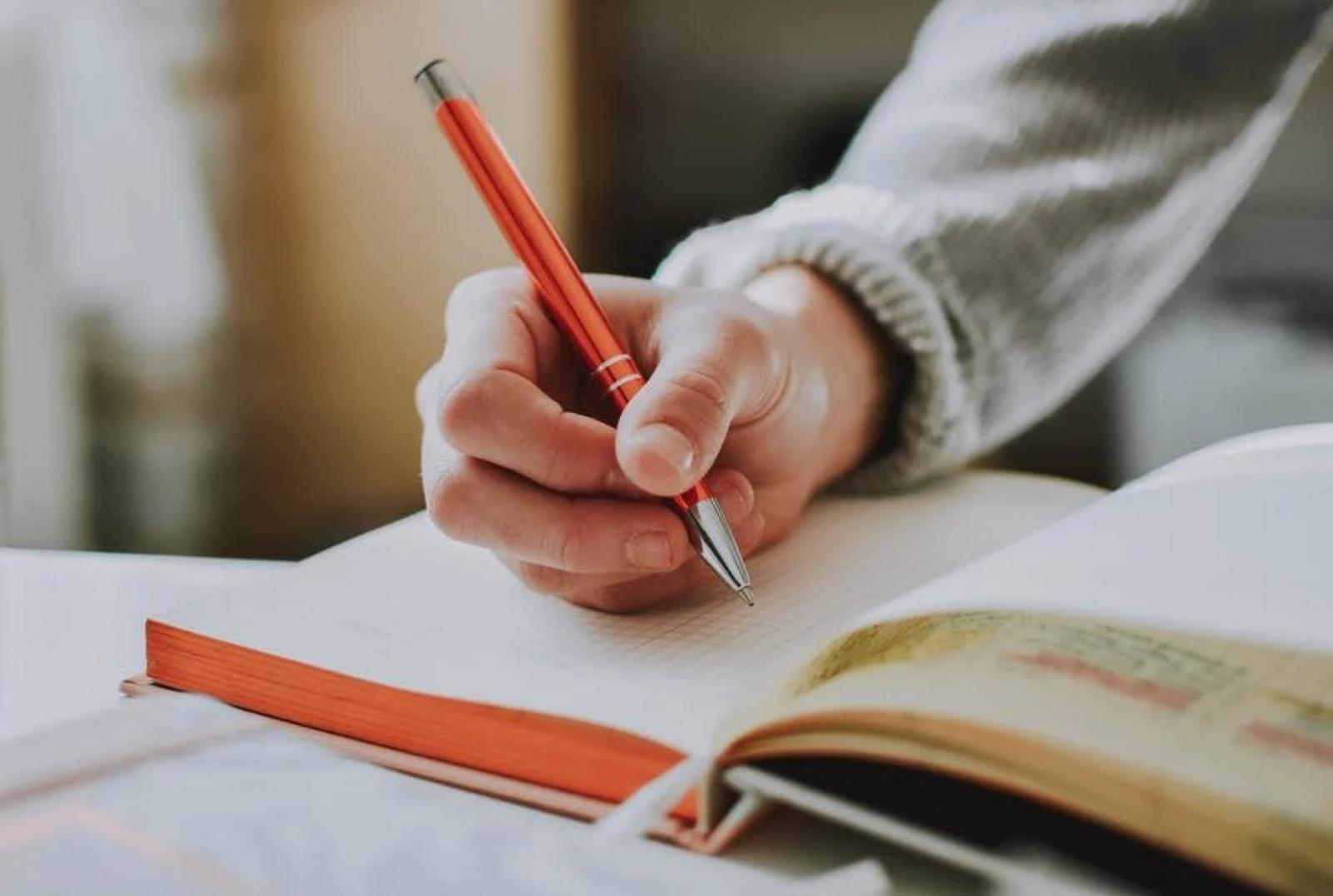 Rugby Rovigo presenta il doposcuola per tutti 