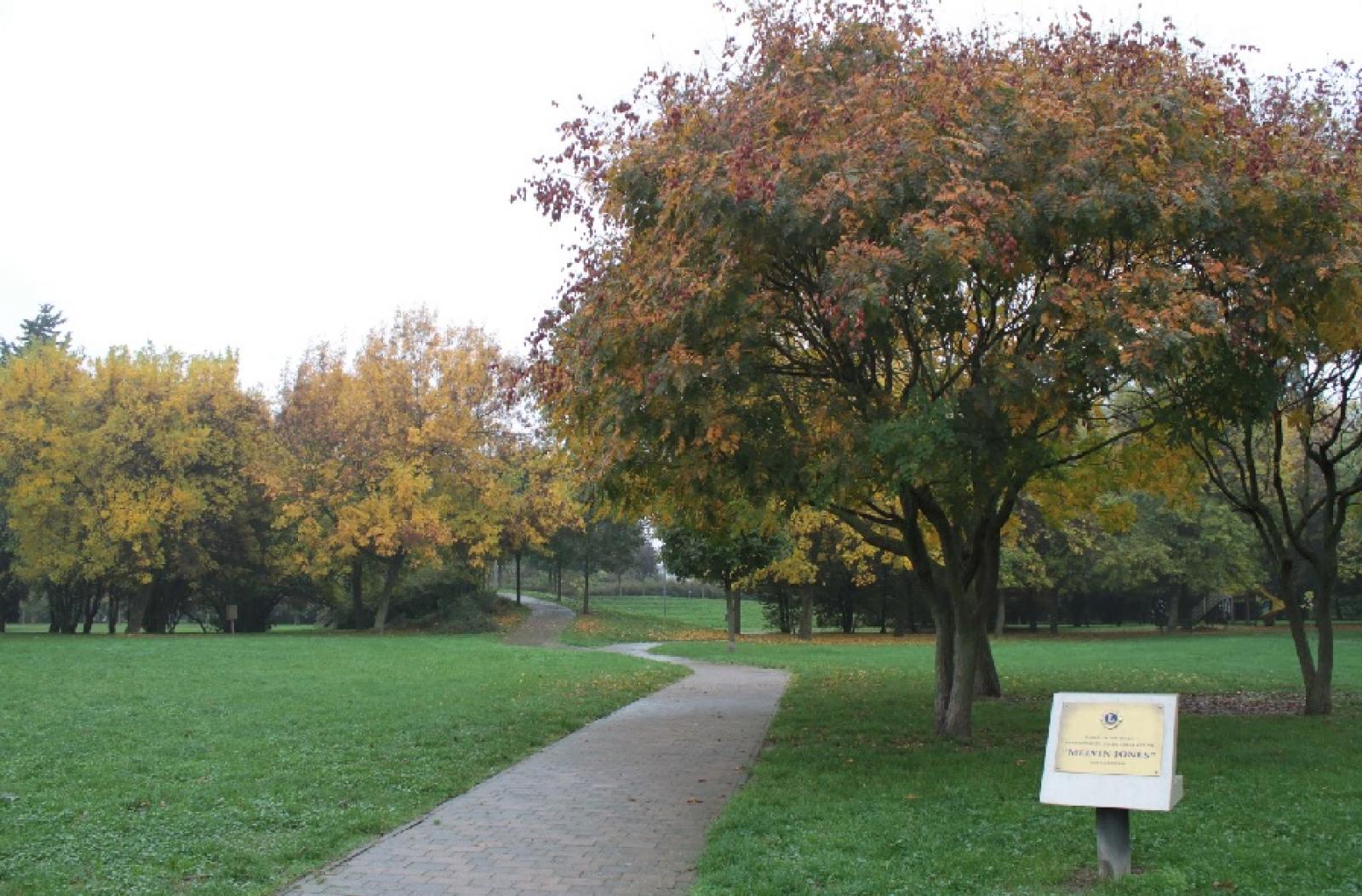 "Parchi chiusi a Ferragosto, questa &egrave; una citt&agrave; morta"