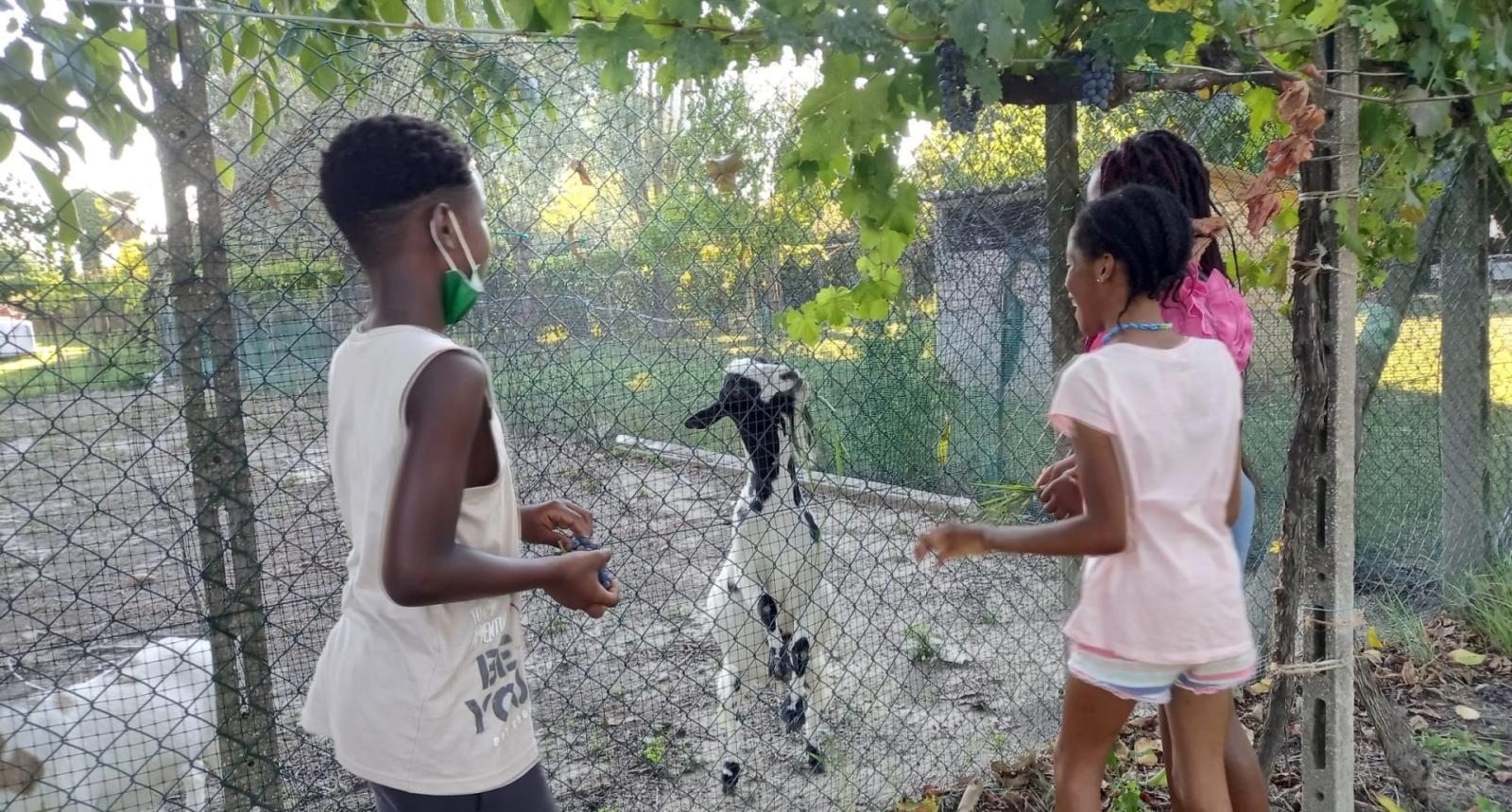 Bimbi in vacanza col progetto "Cedro"