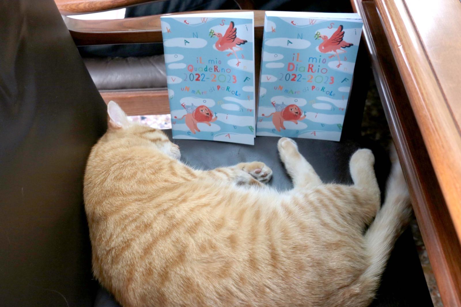 Anche Gatto Rossini sceglie il nostro Diario!