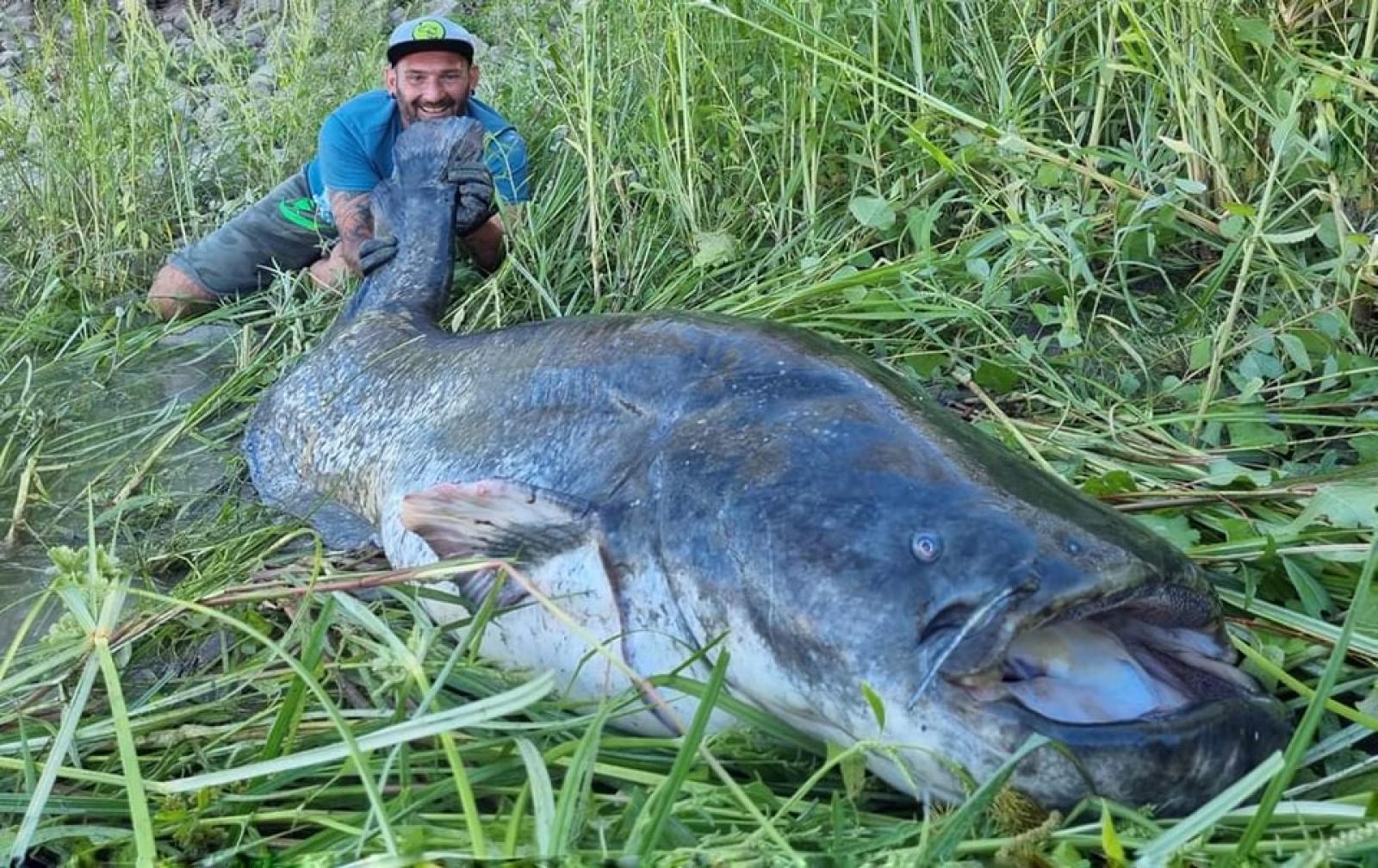 Il mostro del Po alla lenza del Diablo
