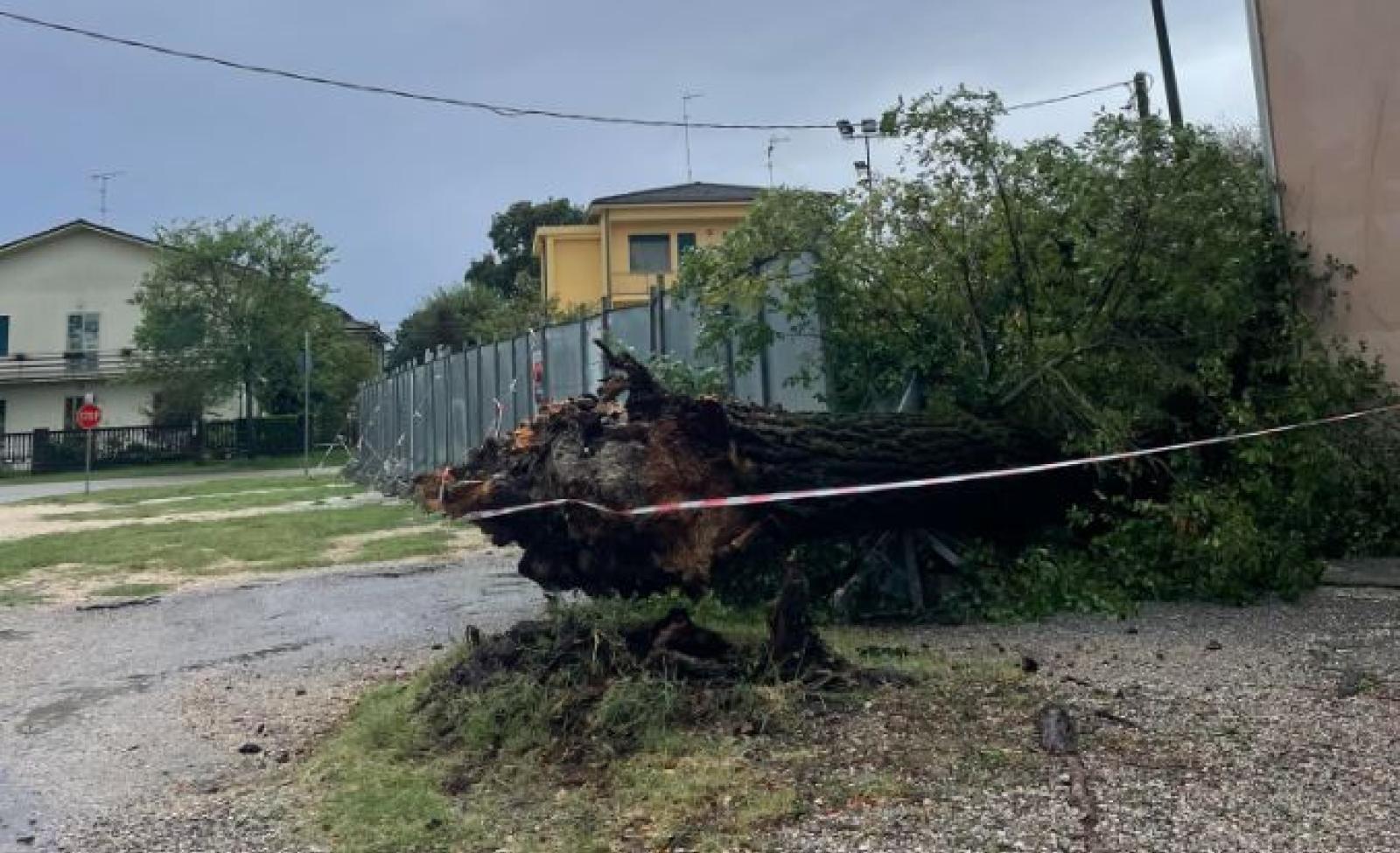 Rami in strada e danni, pompieri in azione in tutto il Polesine