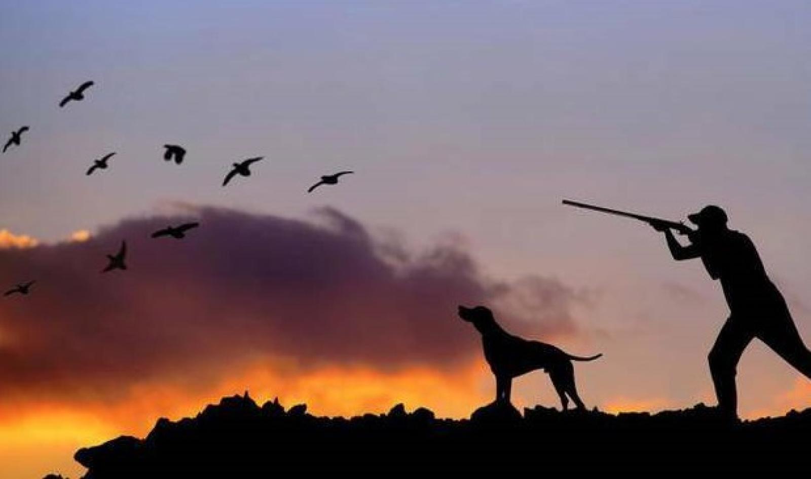 Colpo di scena, il Tar sospende la caccia 