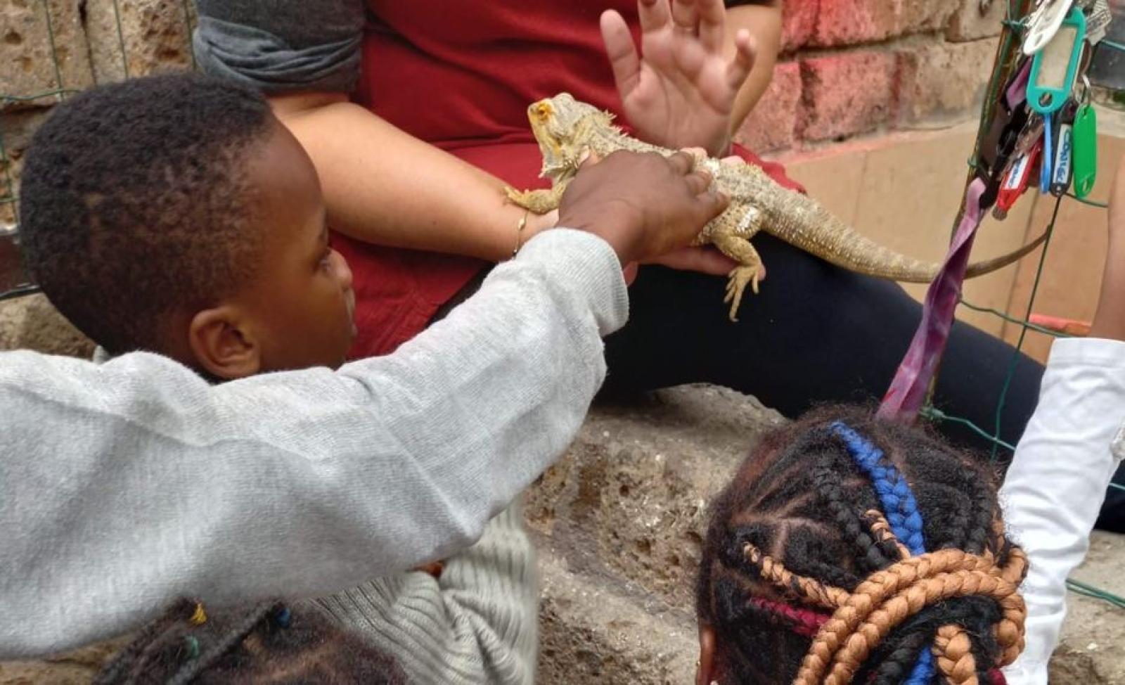 Porto Alegre porta i bambini alla scoperta del mondo delle farfalle