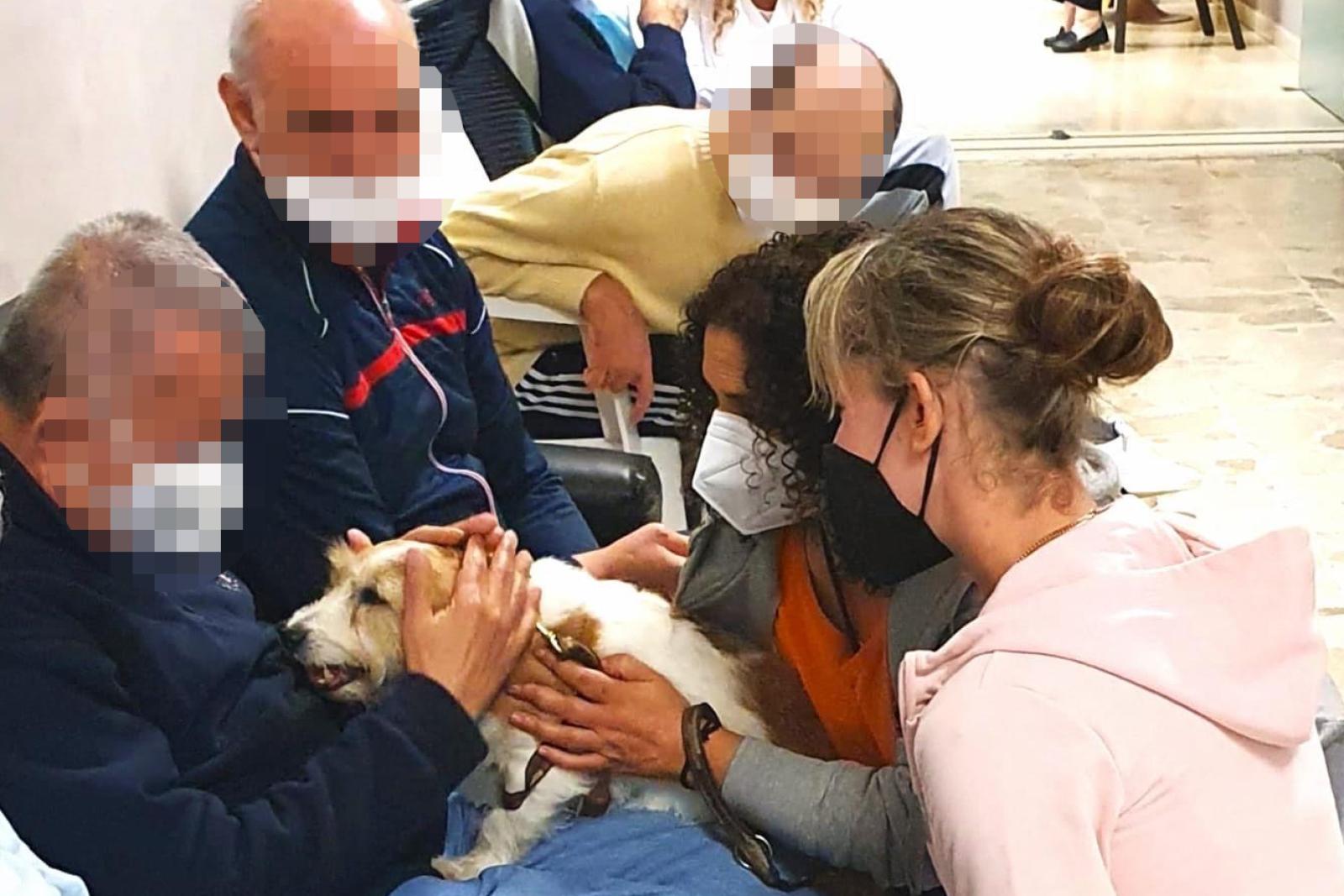 Cuccioloni per aiutare a ritrovare se stessi