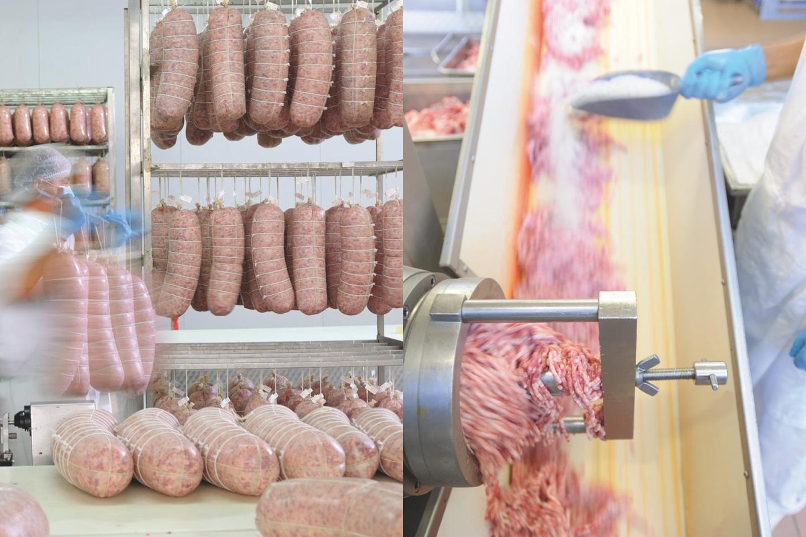 "Passo a Gpl e salvo la mia azienda"