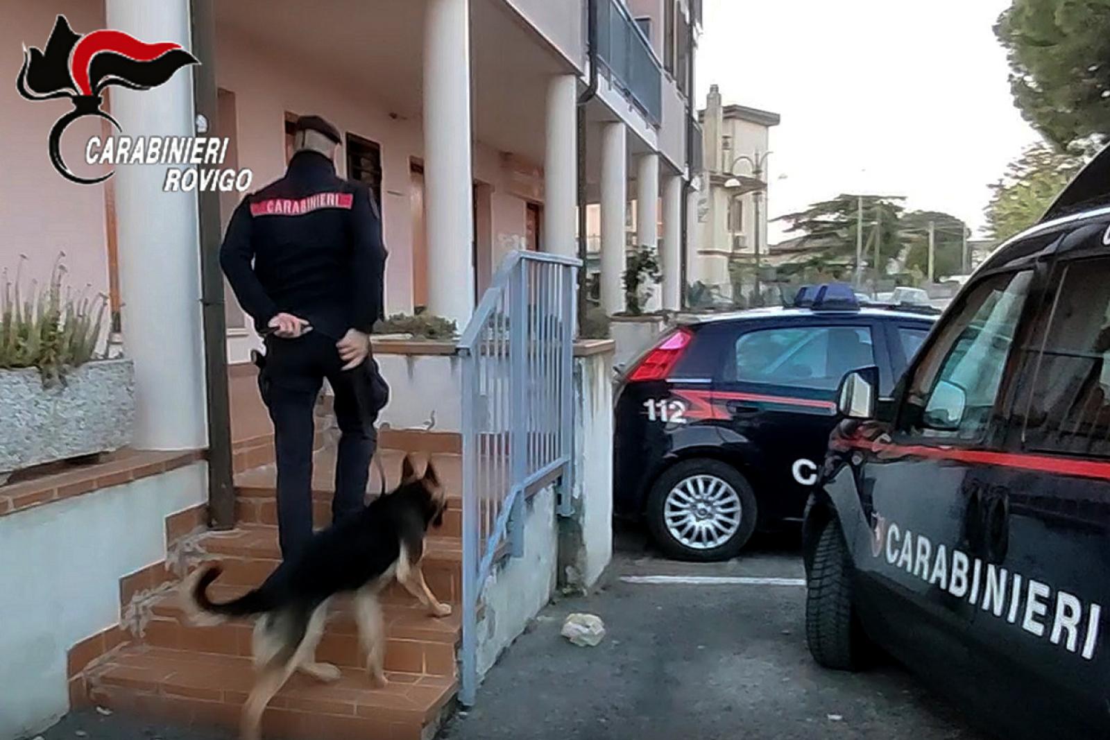 Arrivano i cani antidroga e scattano le manette