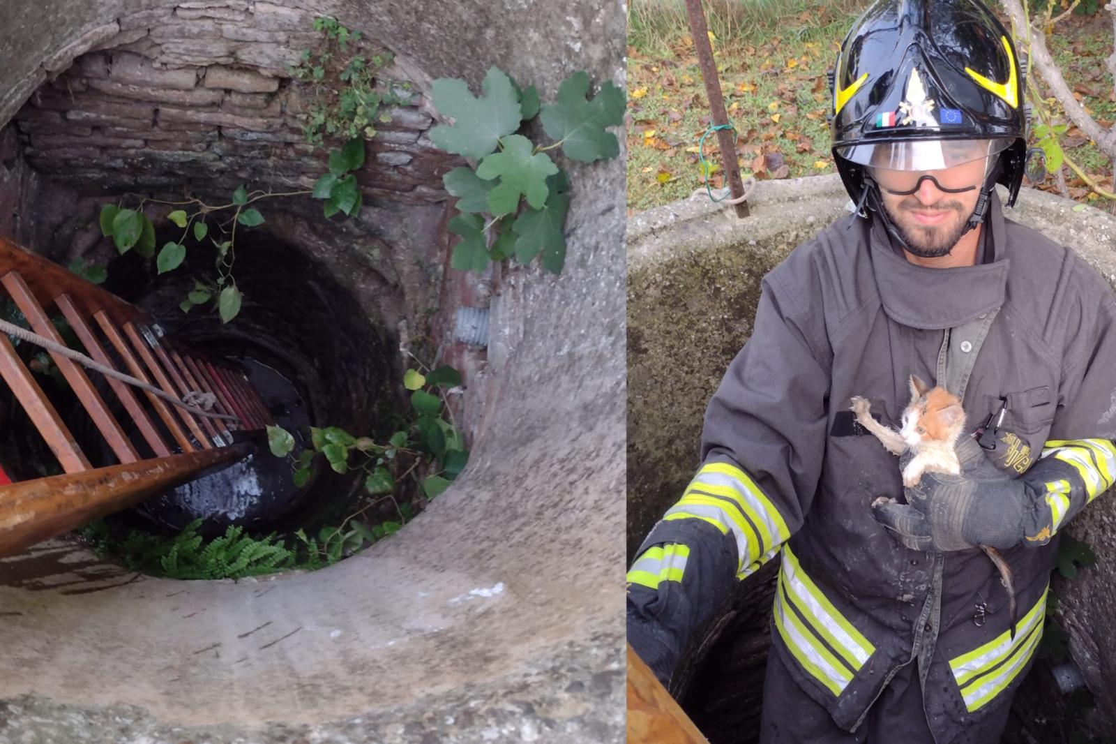 Micio precipita nel pozzo, lo salvano i pompieri