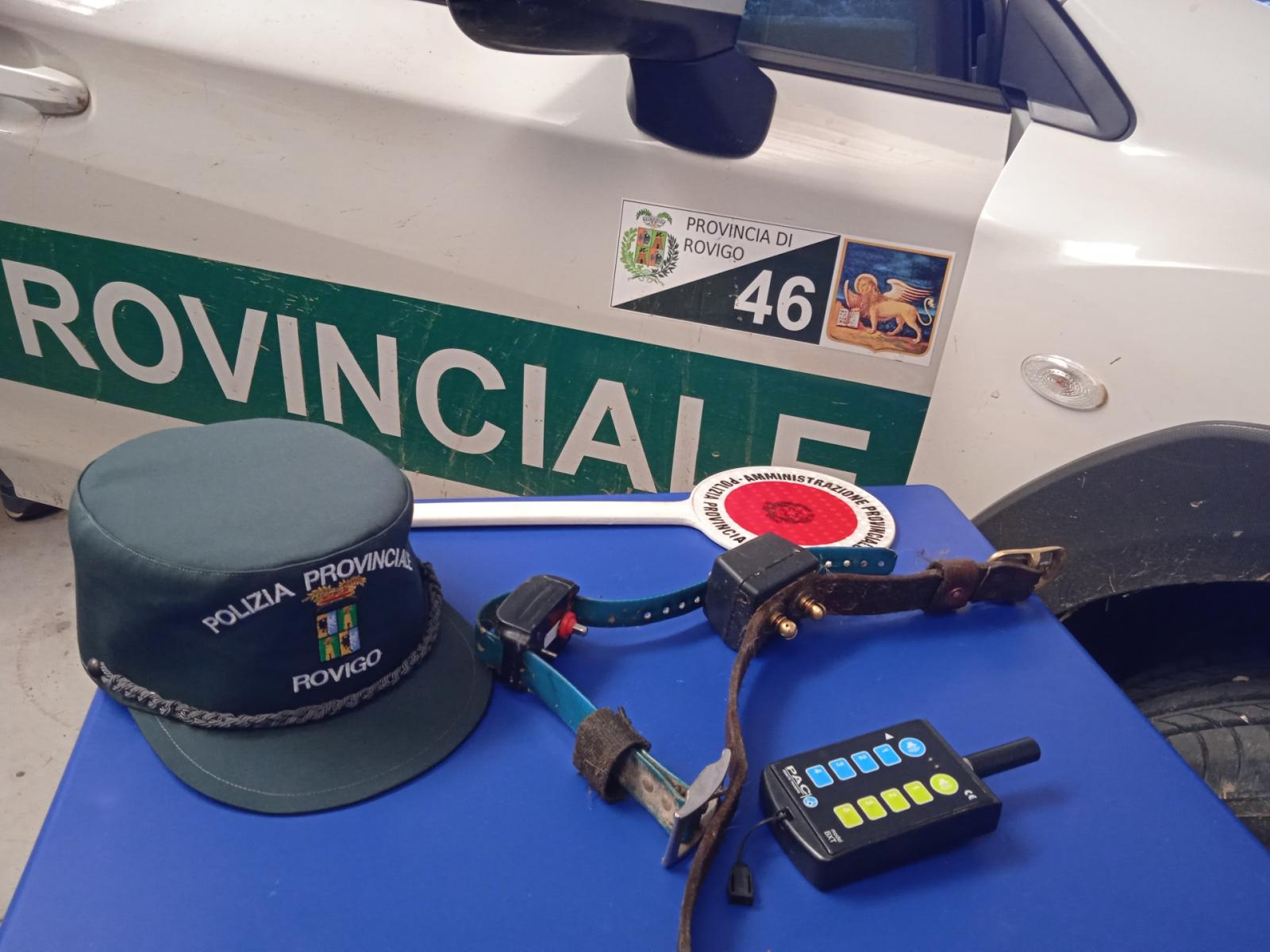 Presi coi collari per dare la scossa ai cani