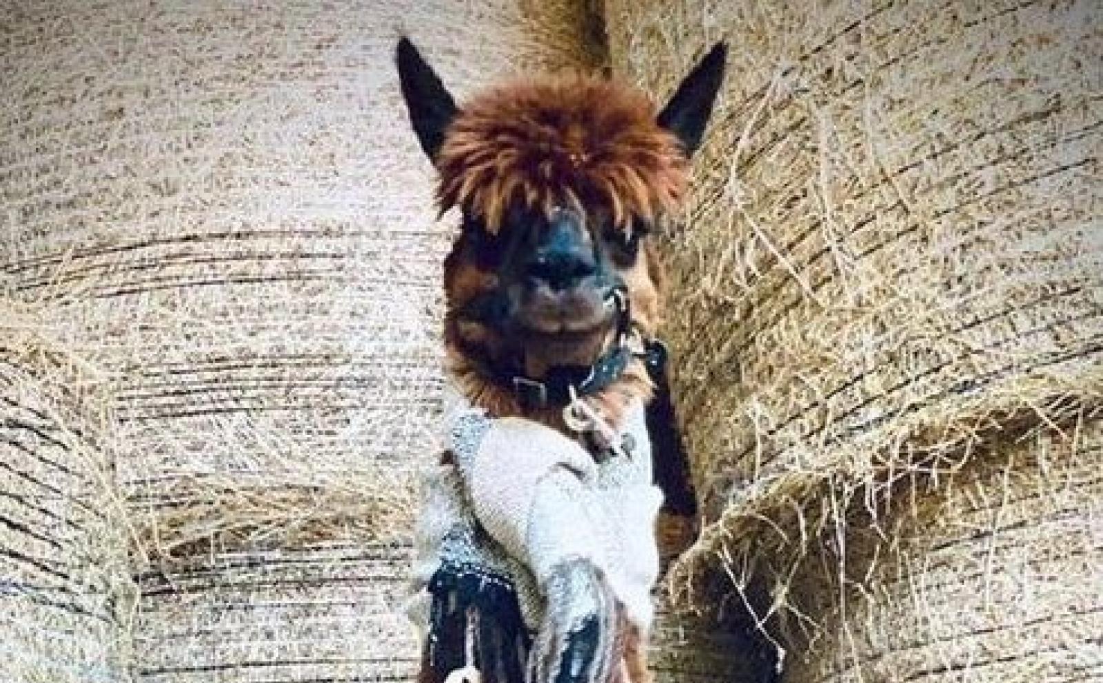 Il cuore caldo di Corte Benetti